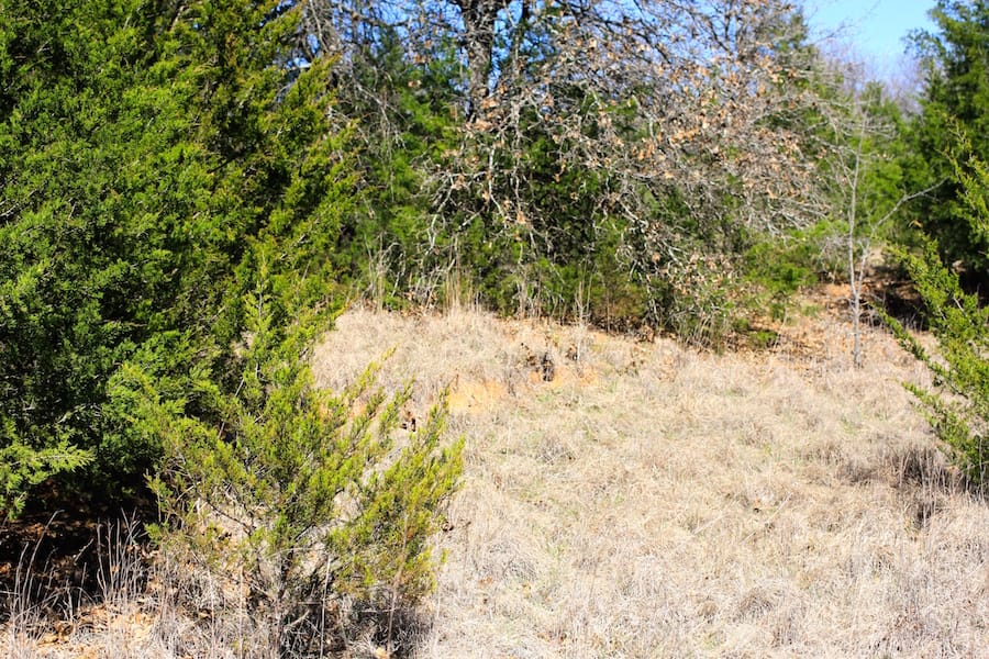 Montgomery Ranch Tract 4 photo 12