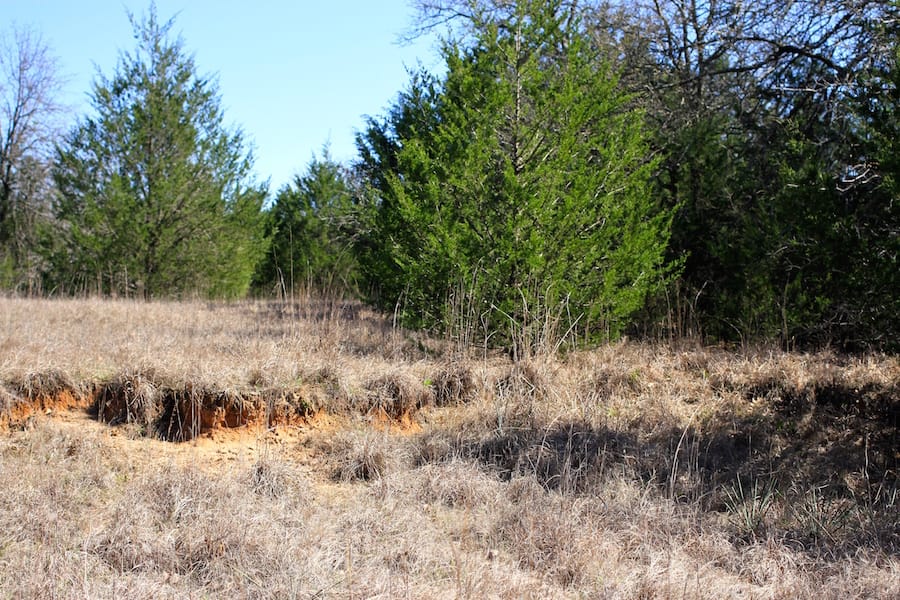 Montgomery Ranch Tract 4 photo 13