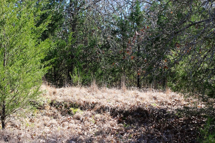 Montgomery Ranch Tract 4 photo 14