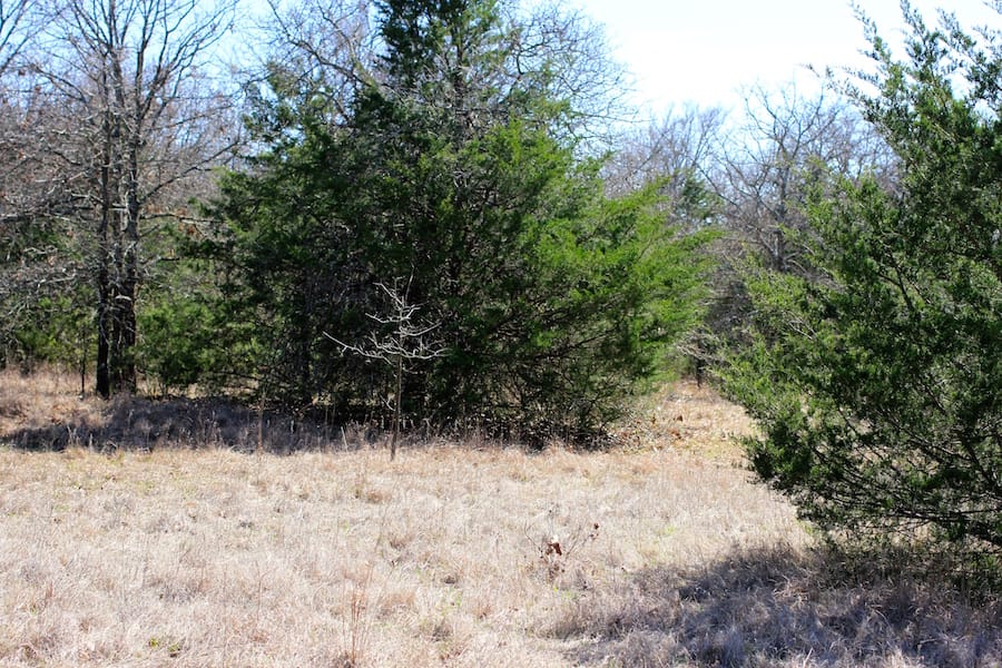 Montgomery Ranch Tract 4 photo 15