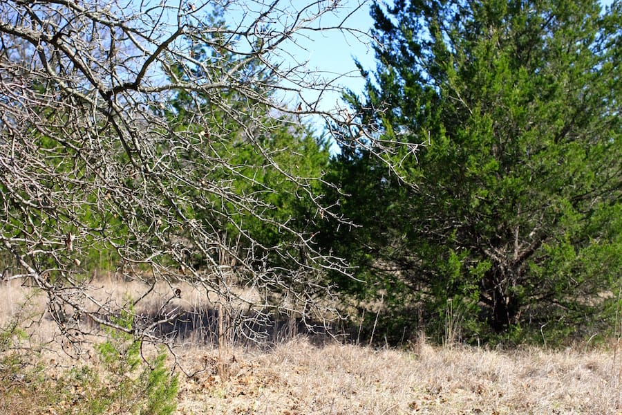 Montgomery Ranch Tract 4 photo 16