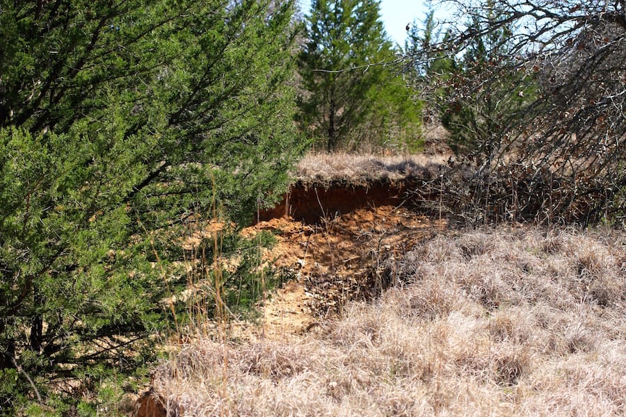 Montgomery Ranch Tract 4 photo 17