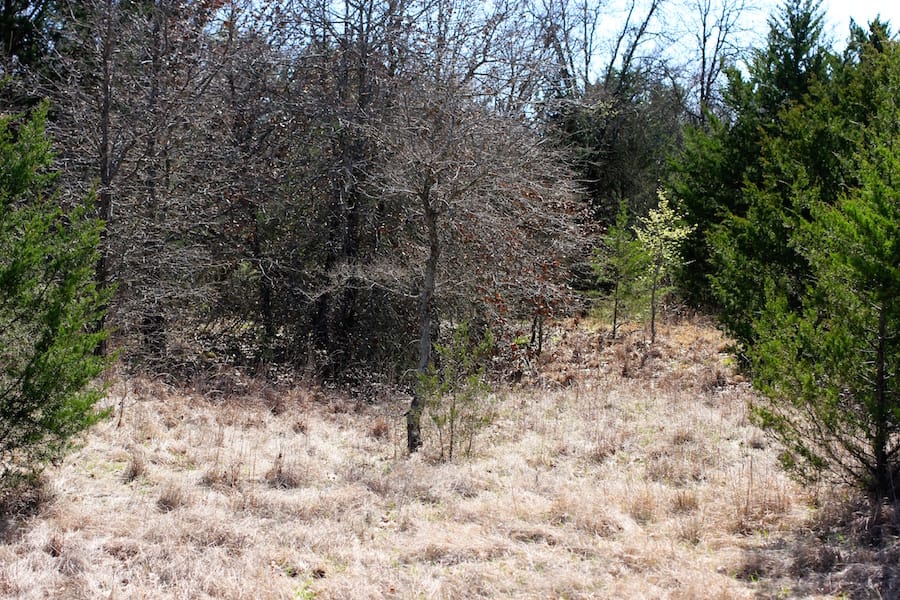 Montgomery Ranch Tract 4 photo 18