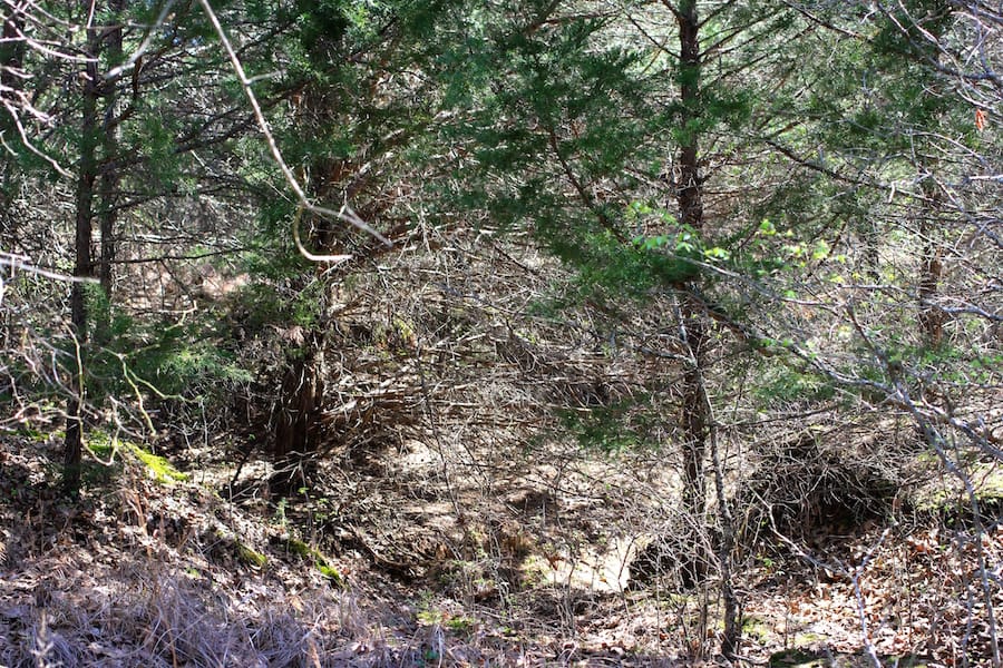Montgomery Ranch Tract 4 photo 19