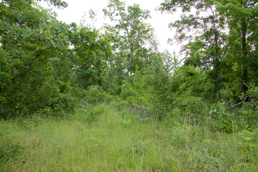 Thunder Mountain Ranch Tract 25 photo 2