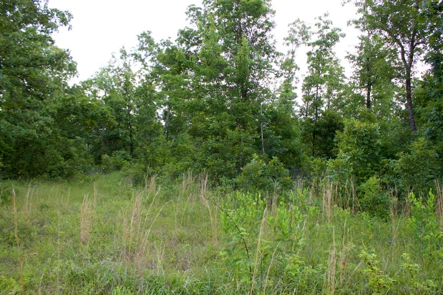 Thunder Mountain Ranch Tract 25 photo 5
