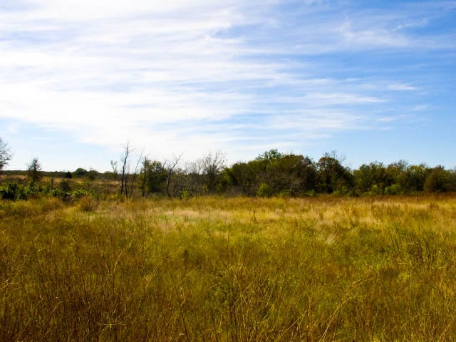 Saddlebrook Ranch Tract 9 photo 2