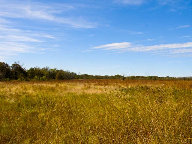 Saddlebrook Ranch Tract 9 photo 3