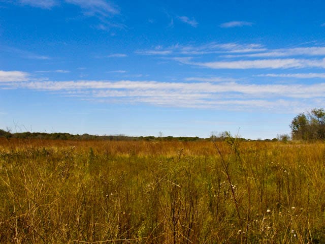 Saddlebrook Ranch Tract 9 photo 4
