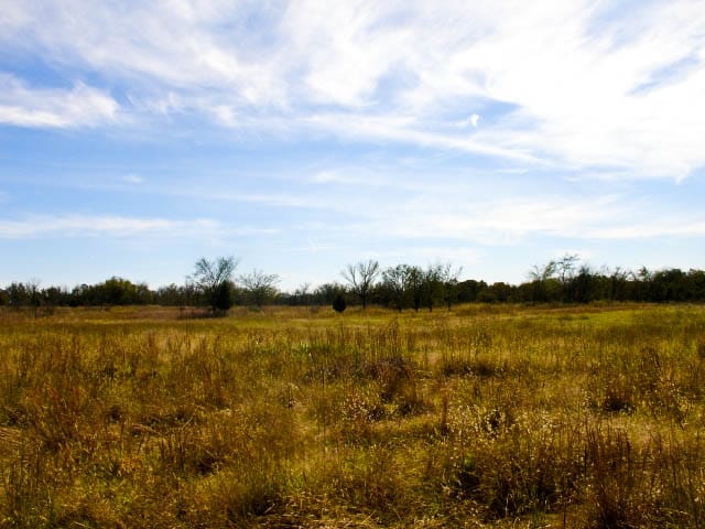 Saddlebrook Ranch Tract 9 photo 5