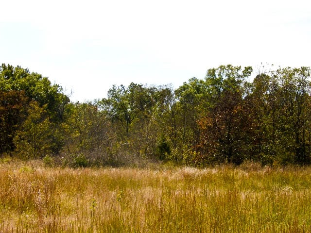 Saddlebrook Ranch Tract 9 photo 7