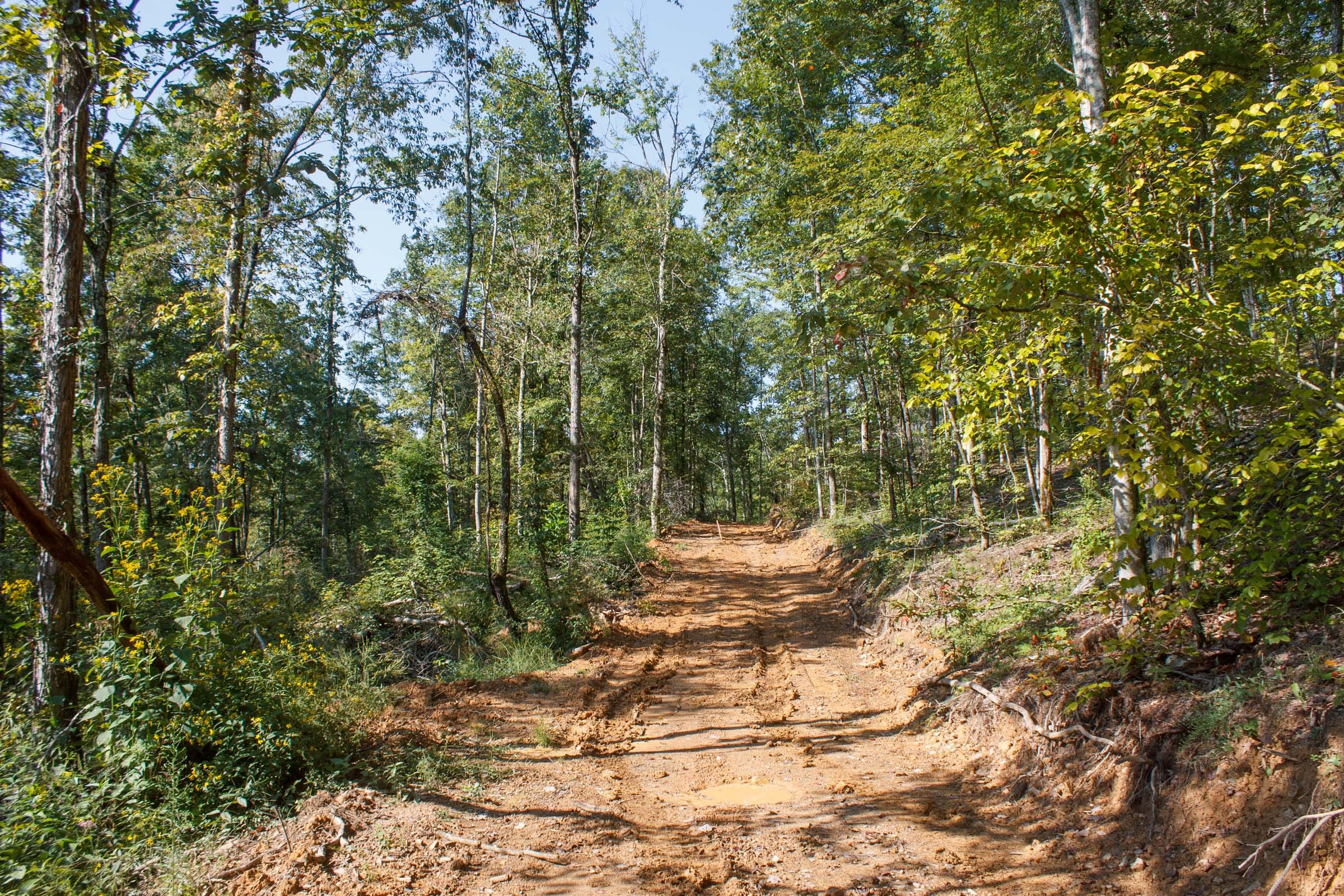 Wounded Oak Tract 9 photo 1