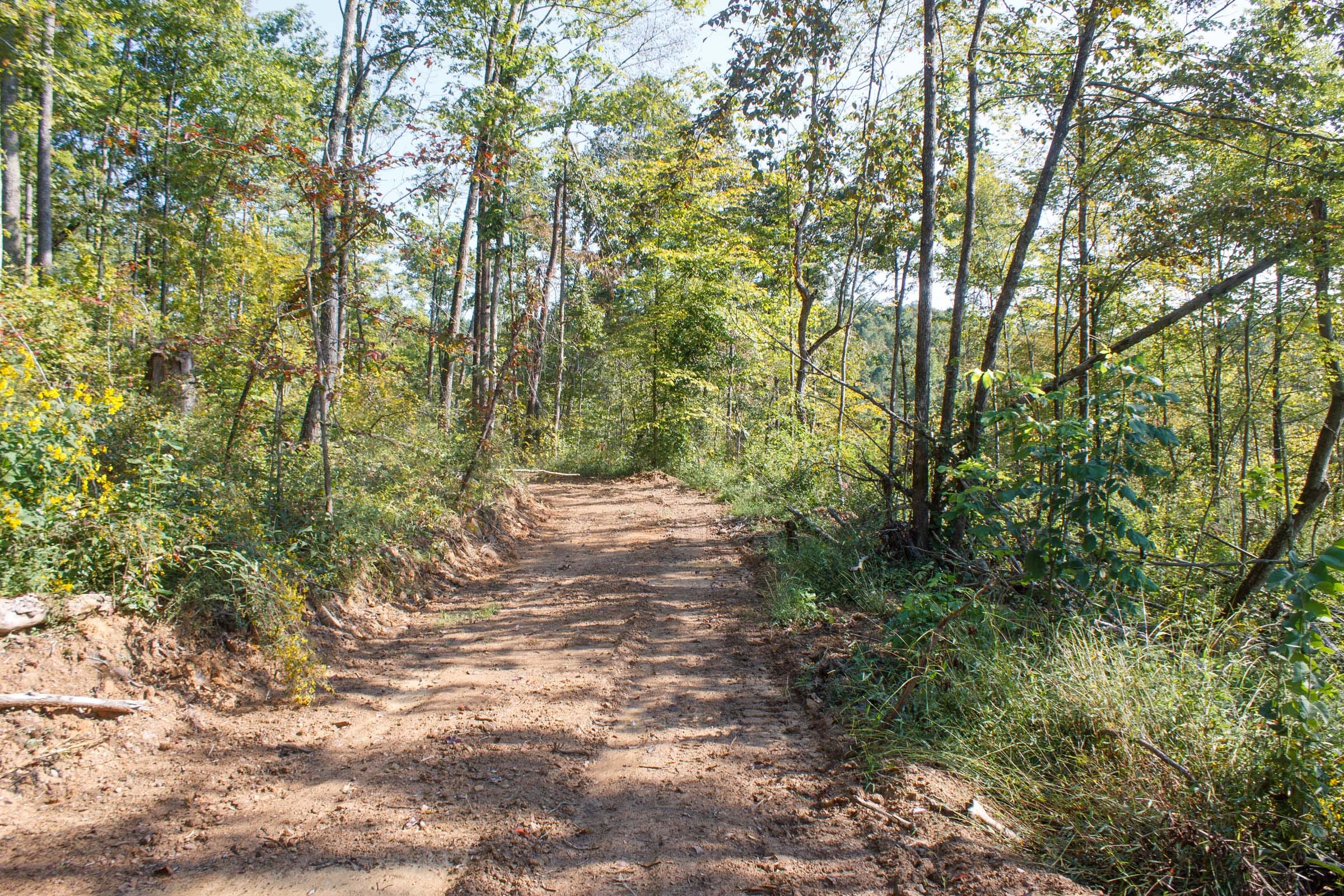 Wounded Oak Tract 9 photo 3
