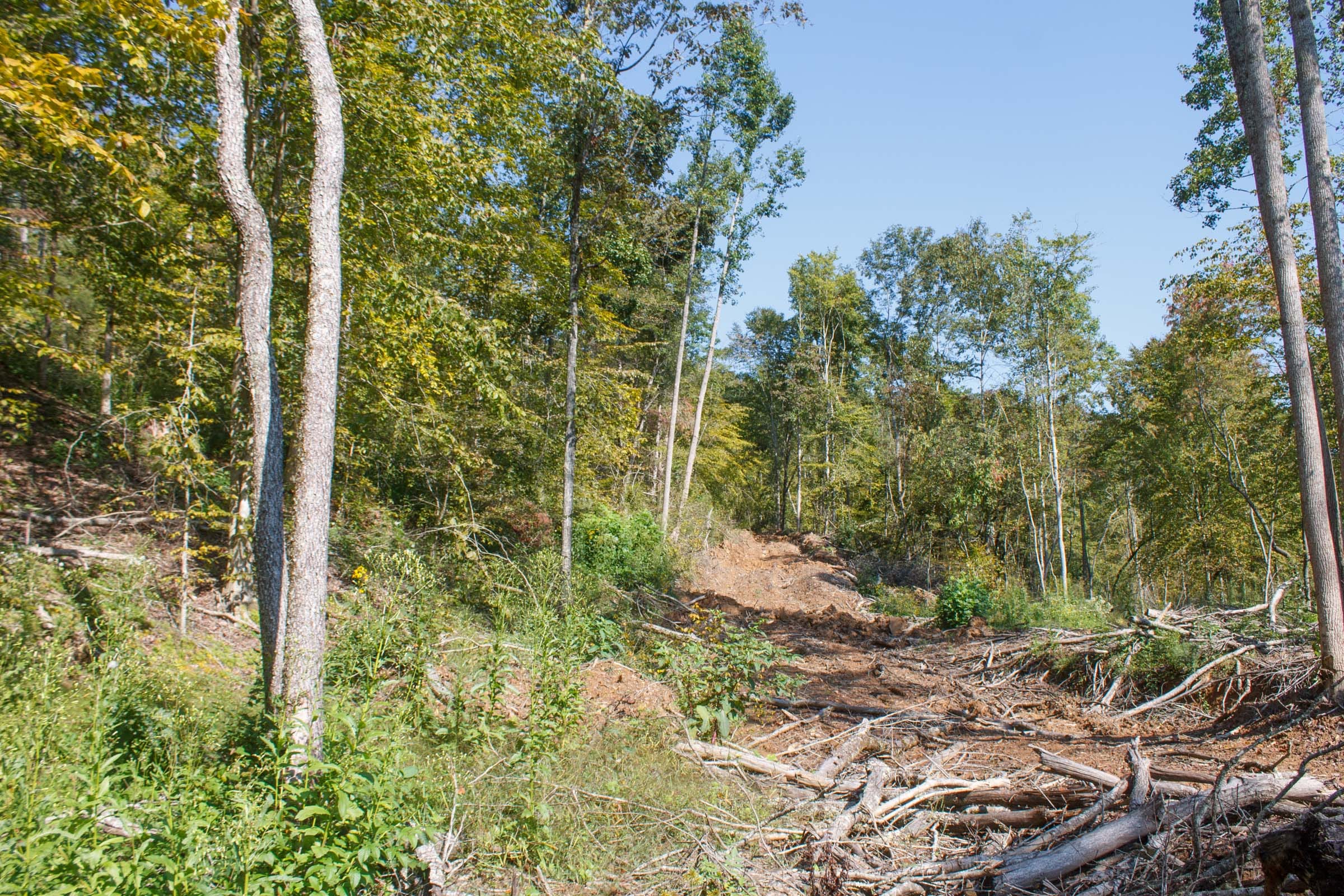 Wounded Oak Tract 9 photo 17