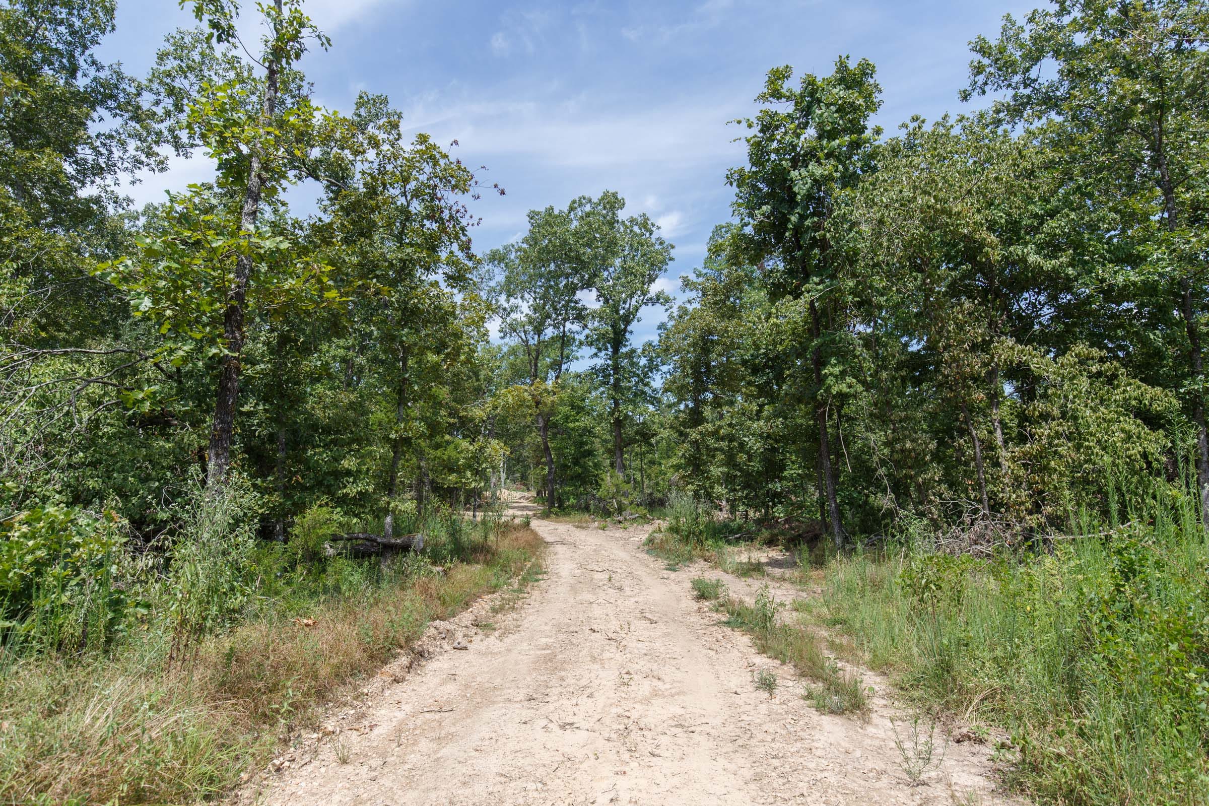 Wildwood Tract 4 photo 1