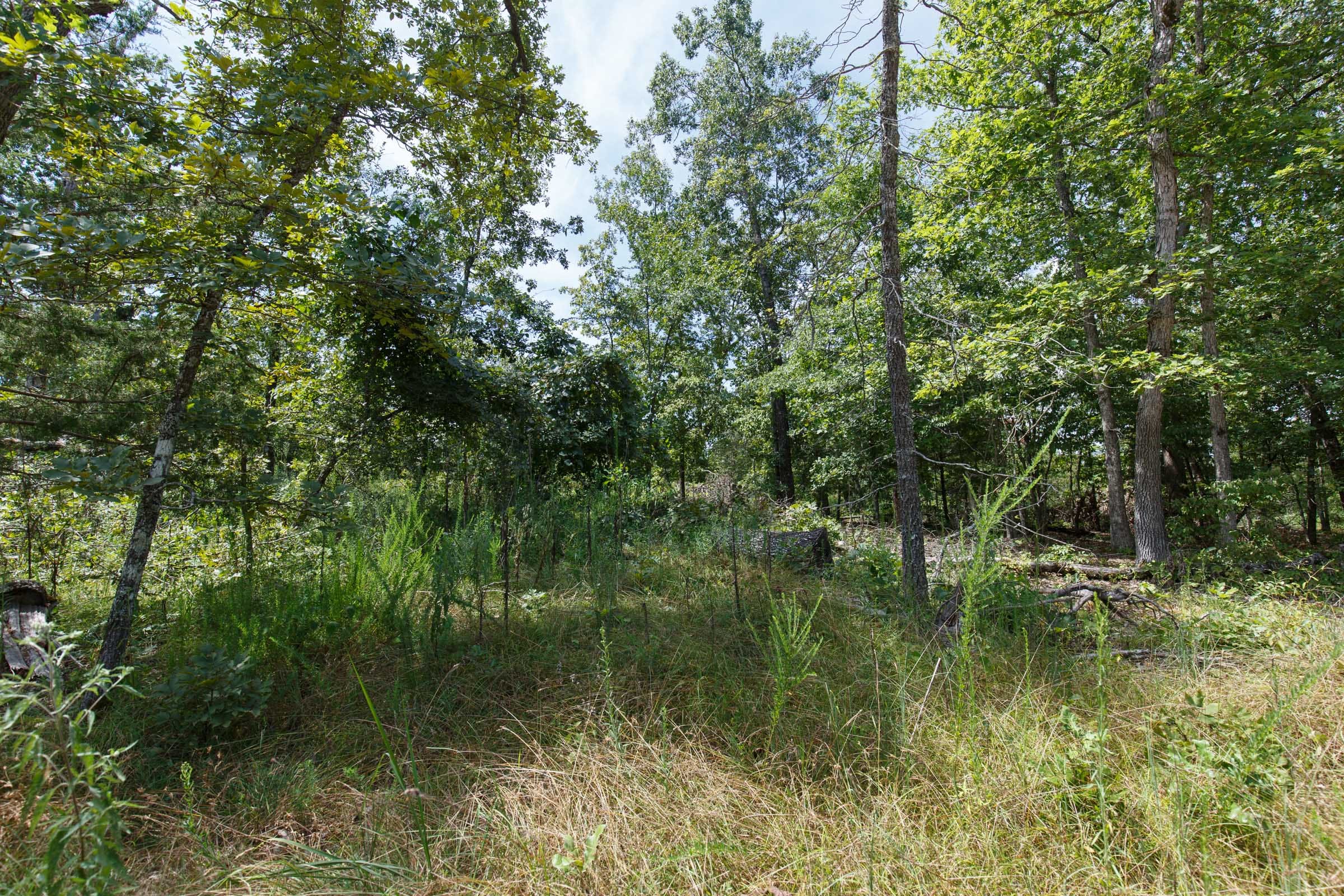 Wildwood Tract 4 photo 4