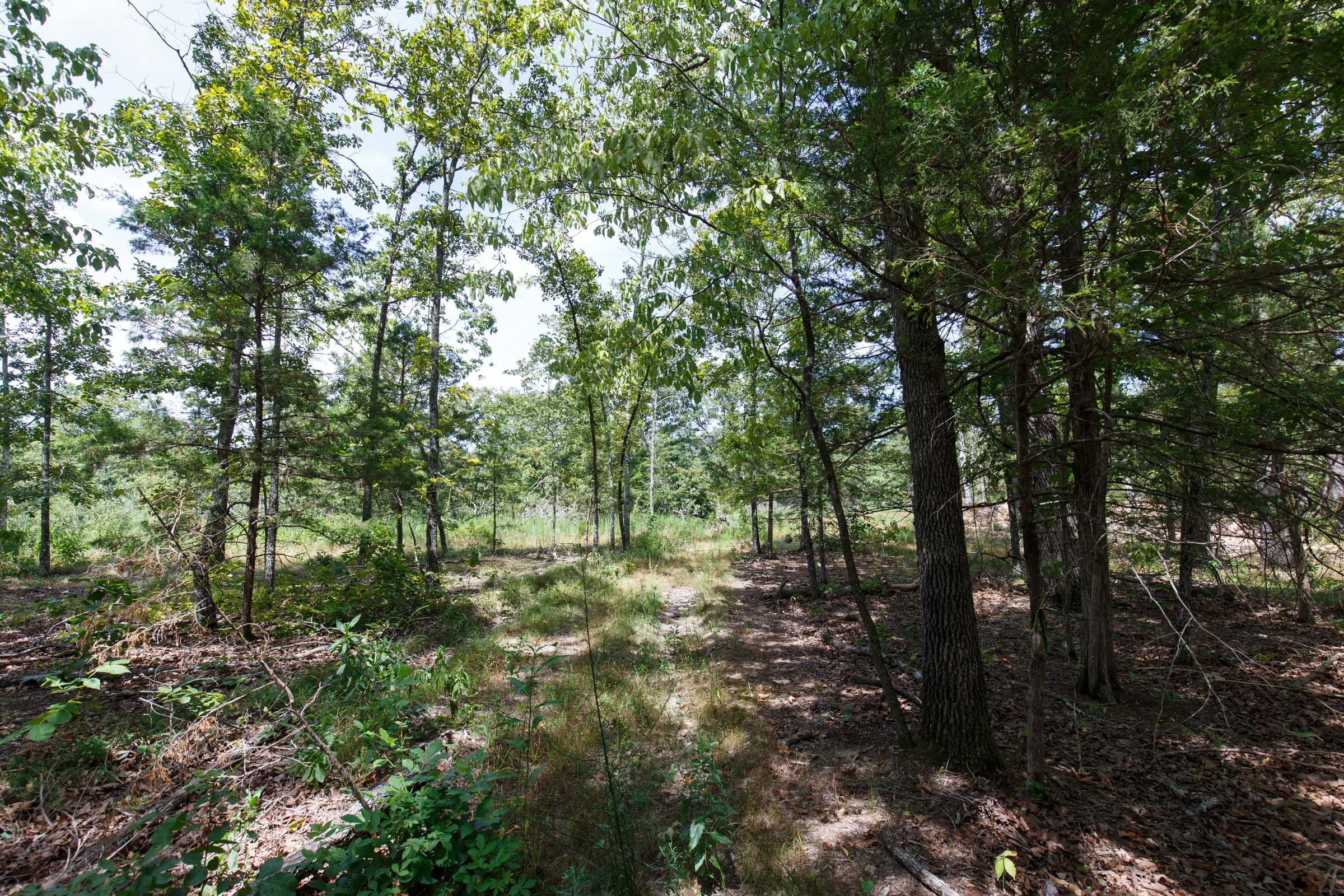 Wildwood Tract 4 photo 5