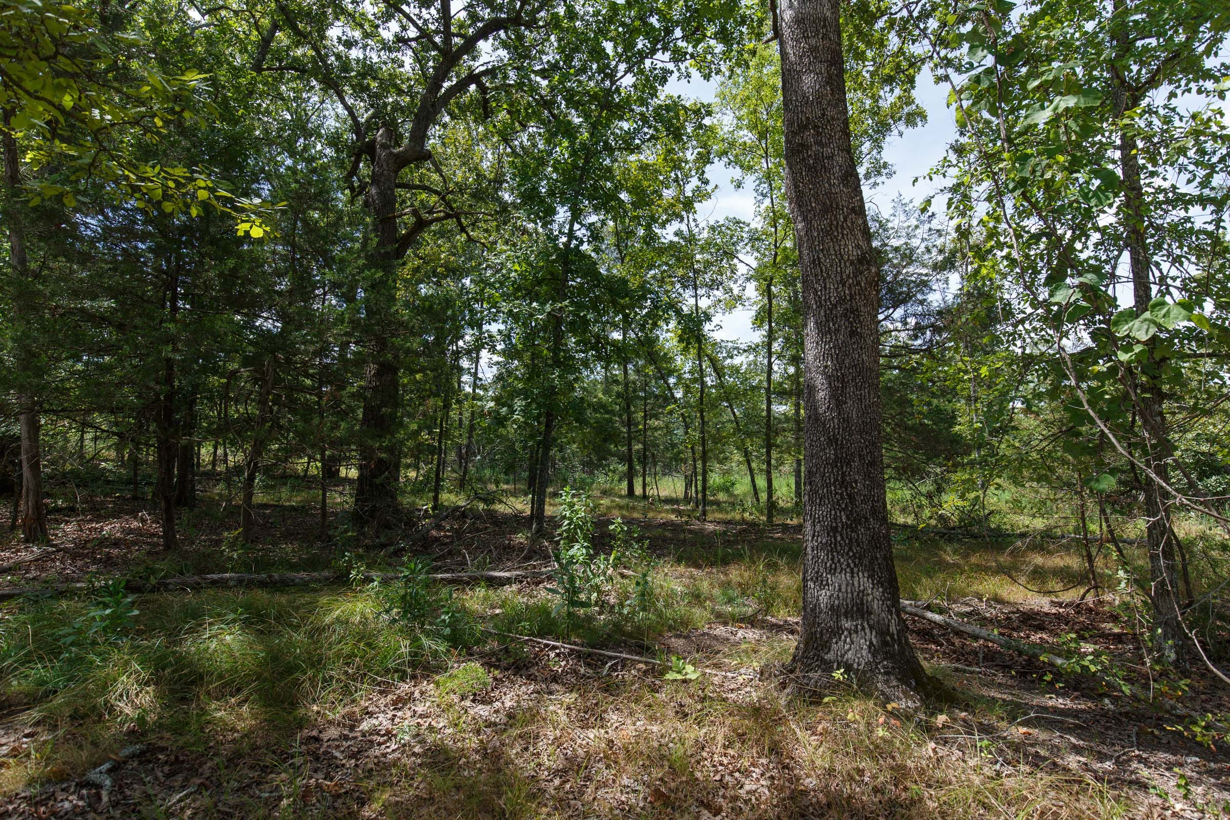 Wildwood Tract 4 photo 9