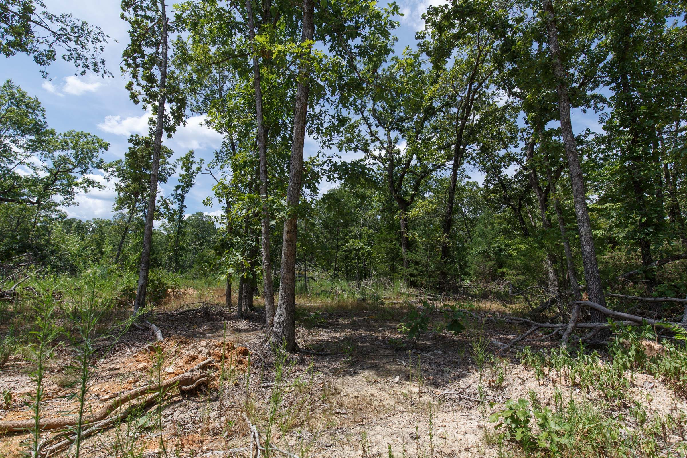 Wildwood Tract 4 photo 10