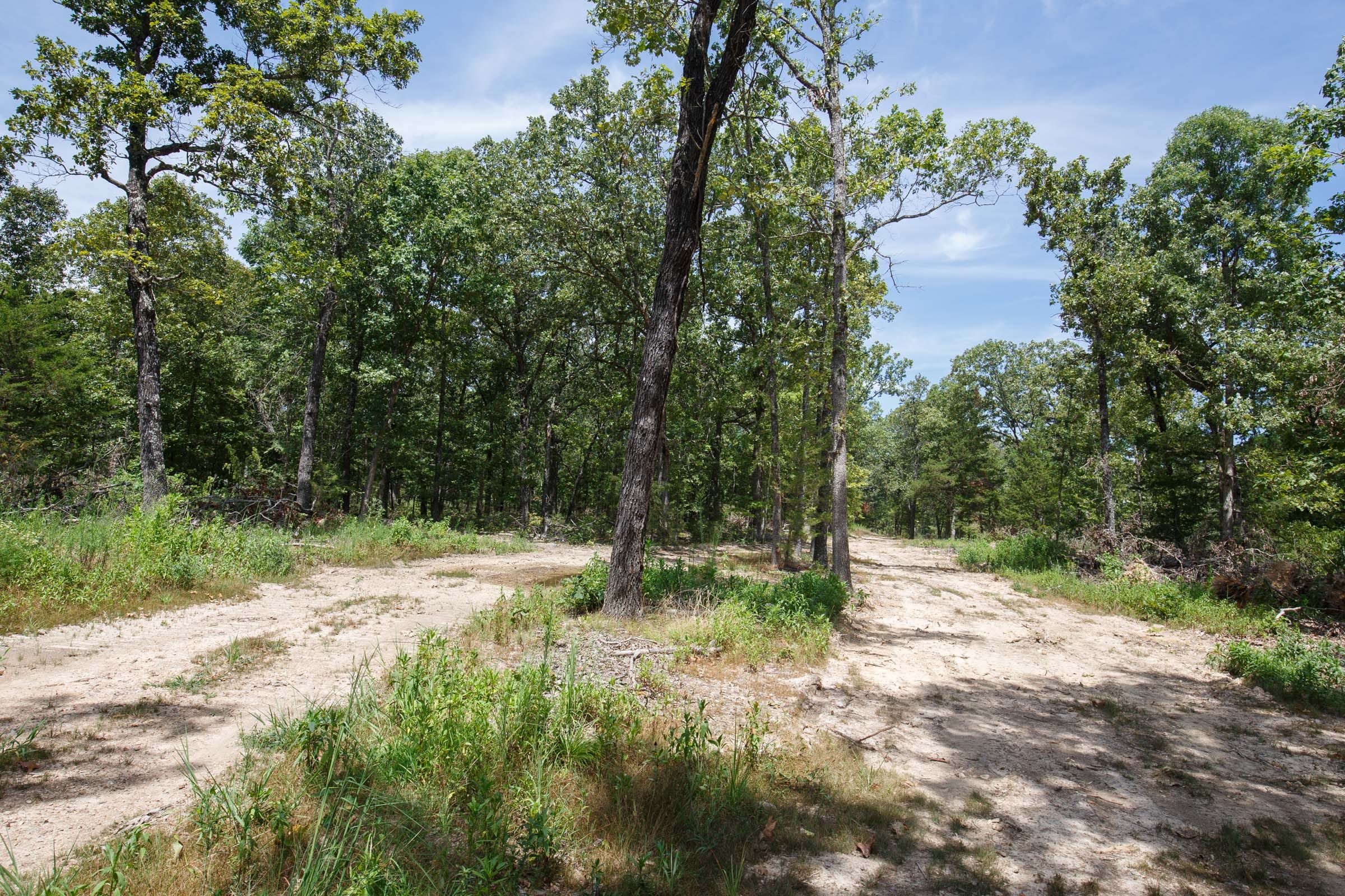 Wildwood Tract 4 photo 13
