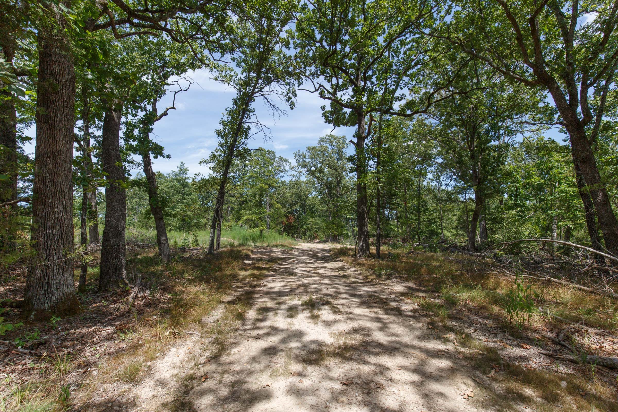 Wildwood Tract 4 photo 11