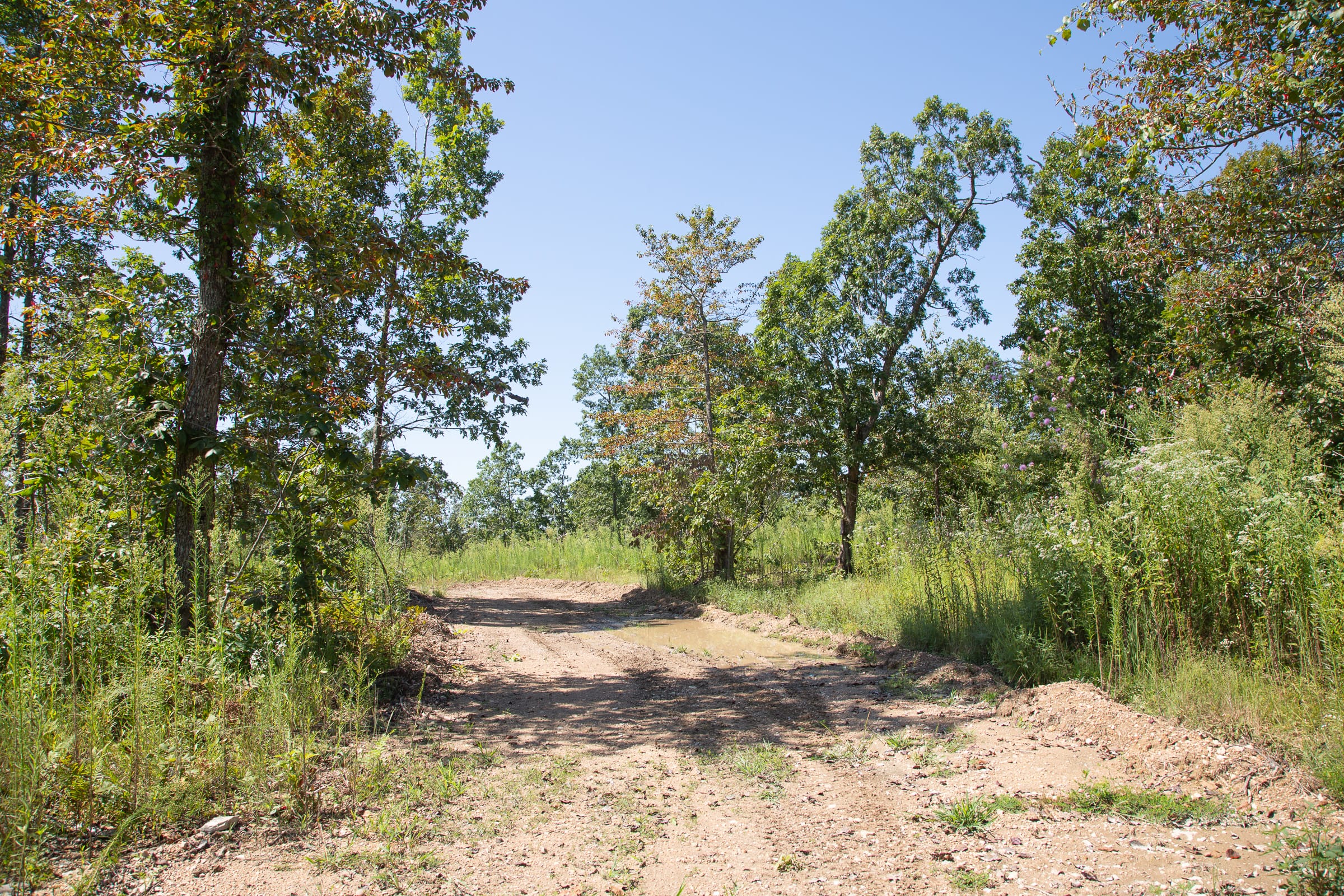 Borgmann’s Hollow Phase III Tract 73 photo 1