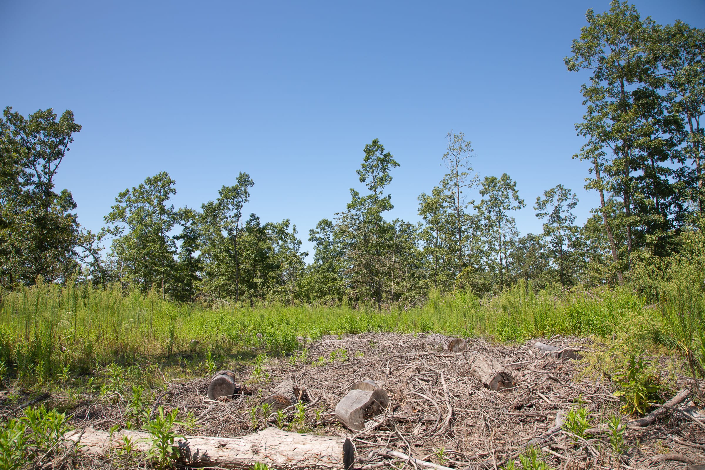Borgmann’s Hollow Phase III Tract 73 photo 7