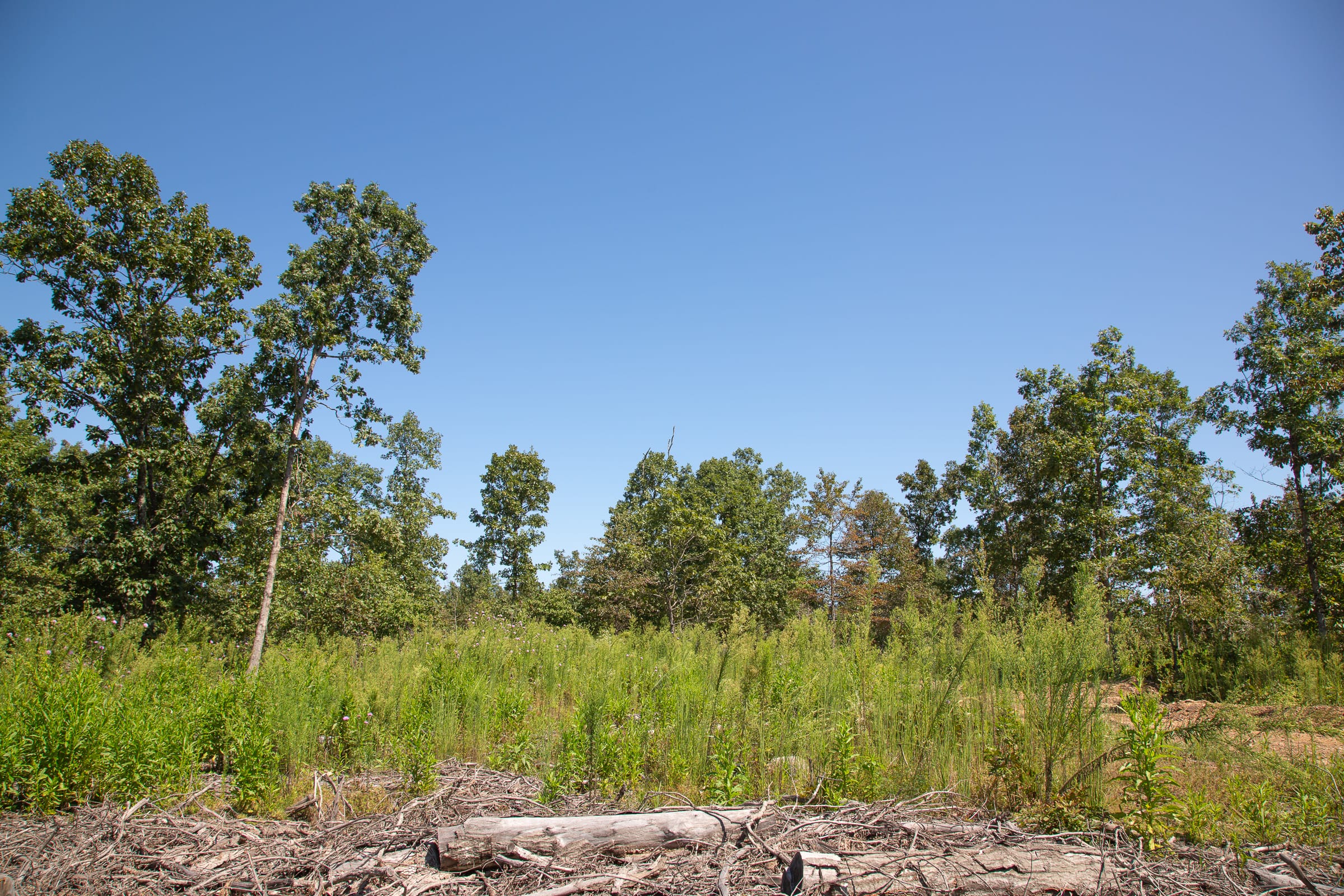 Borgmann’s Hollow Phase III Tract 73 photo 8