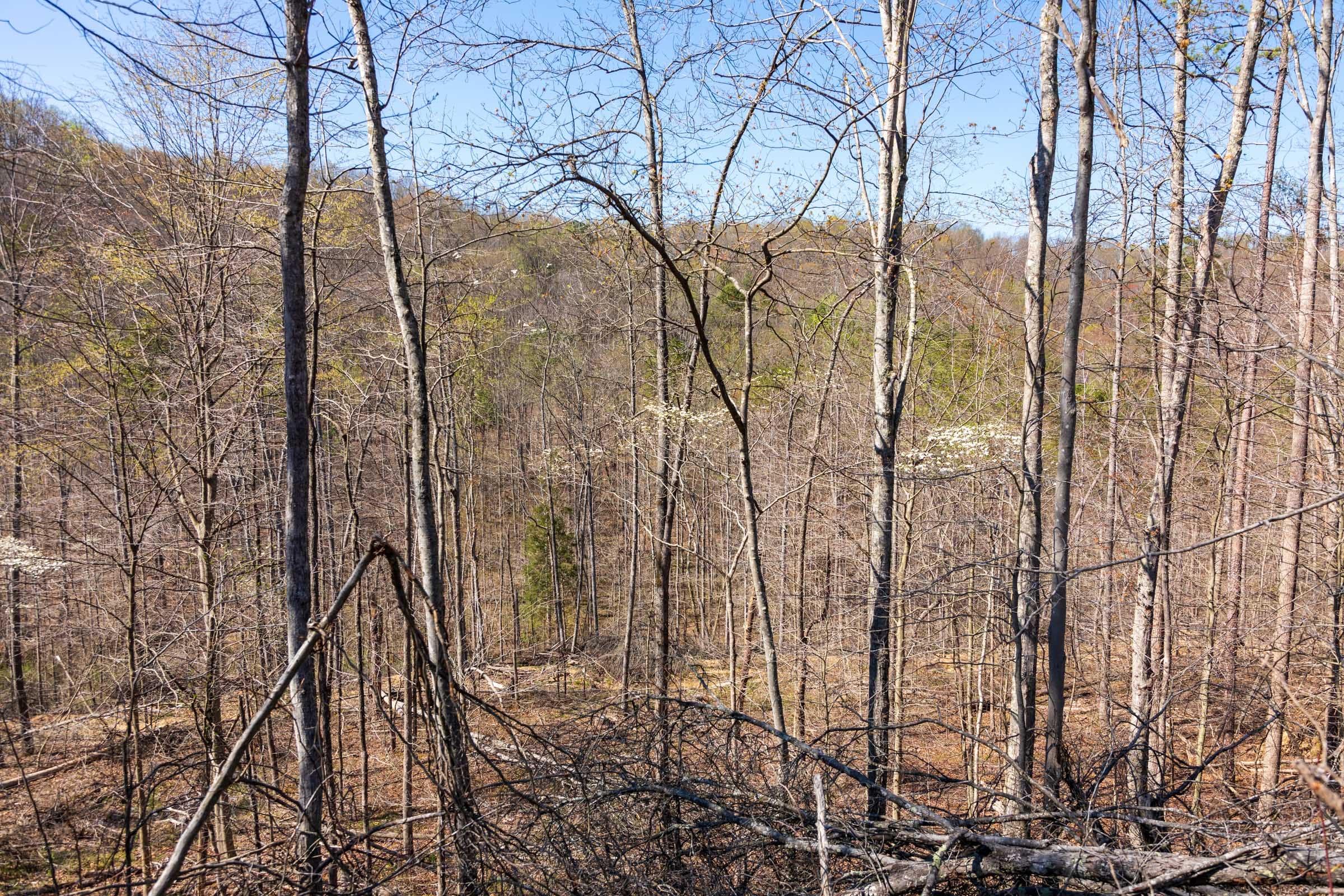 Creek Hollow Phase I Tract 33 photo 3