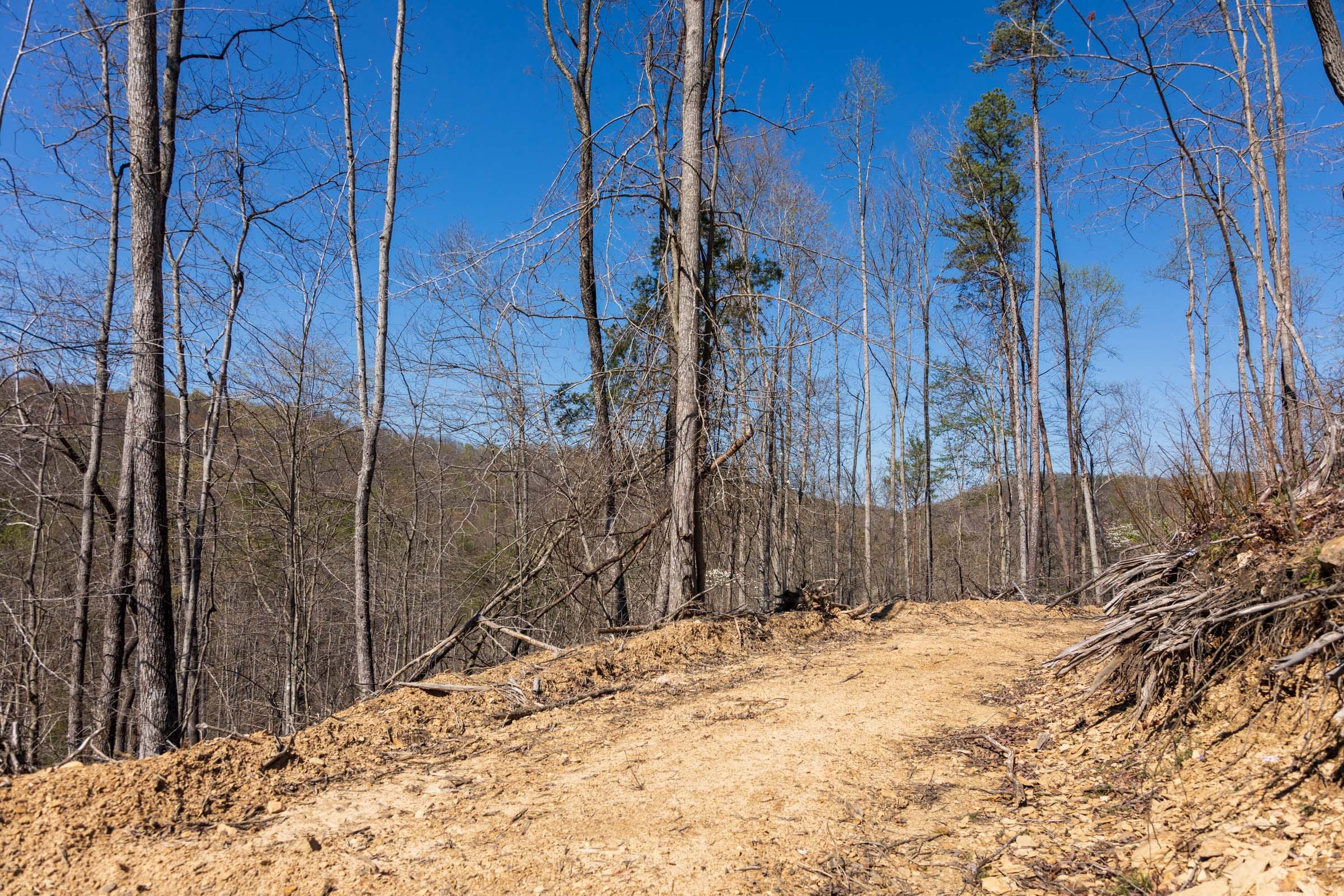 Creek Hollow Phase I Tract 33 photo 1