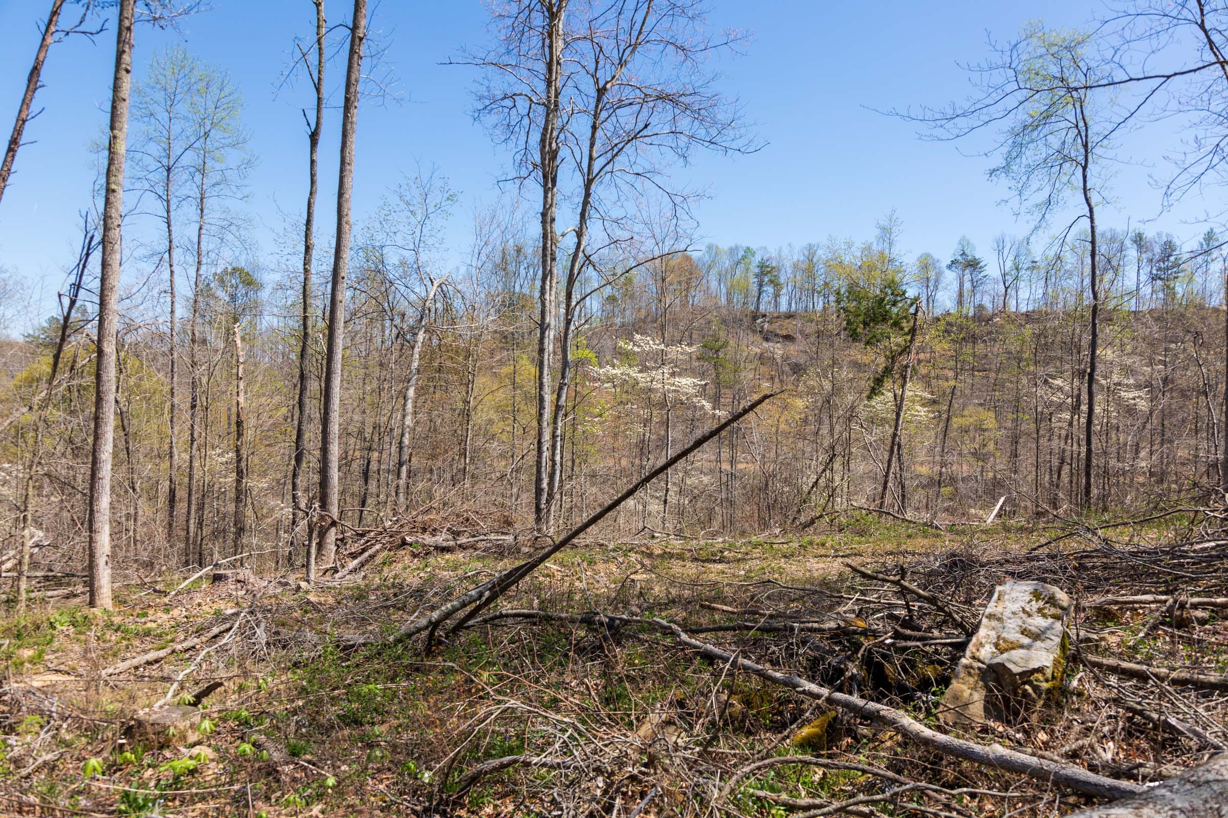 Creek Hollow Phase I Tract 33 photo 5