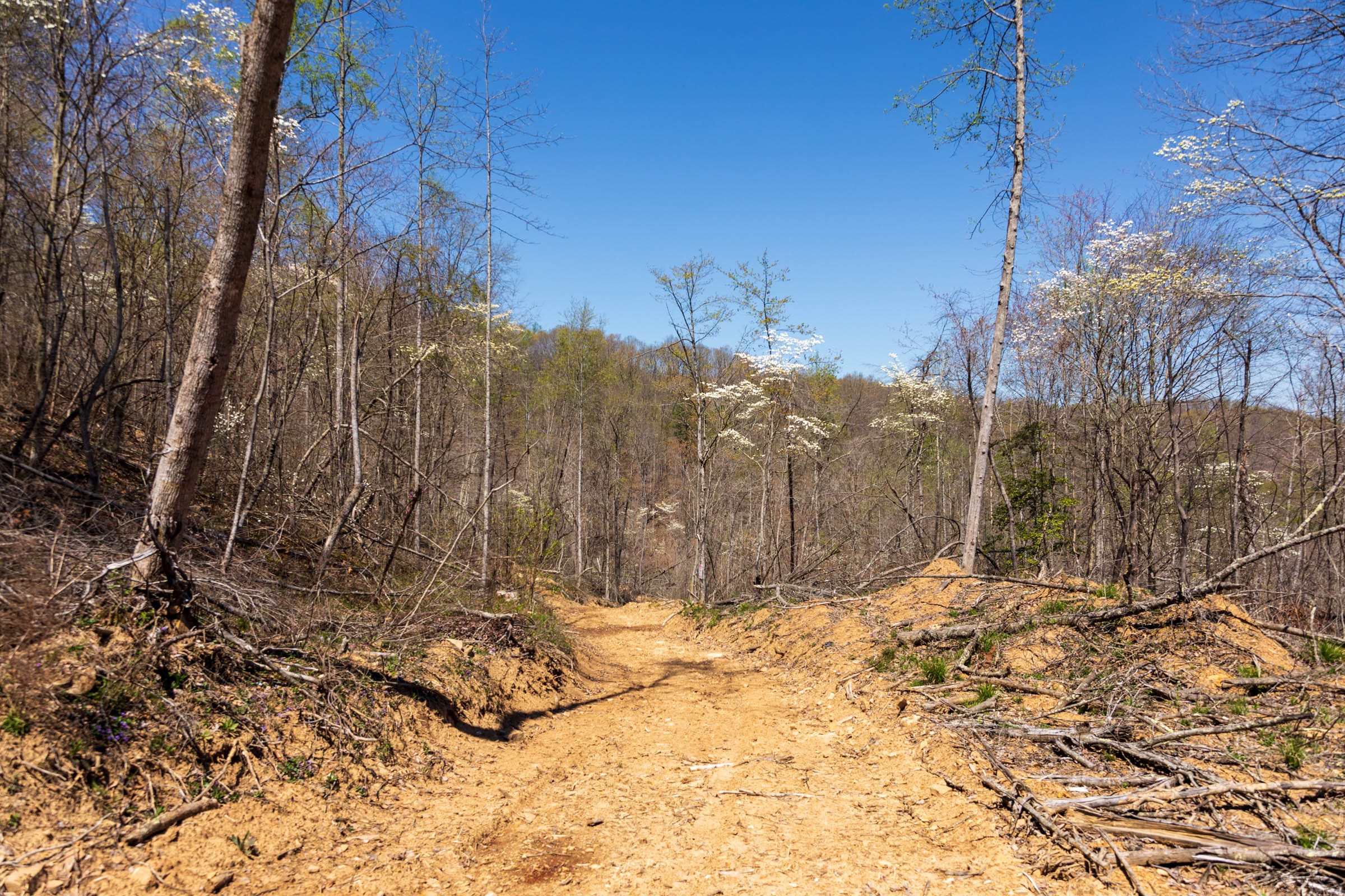 Creek Hollow Phase I Tract 33 photo 4