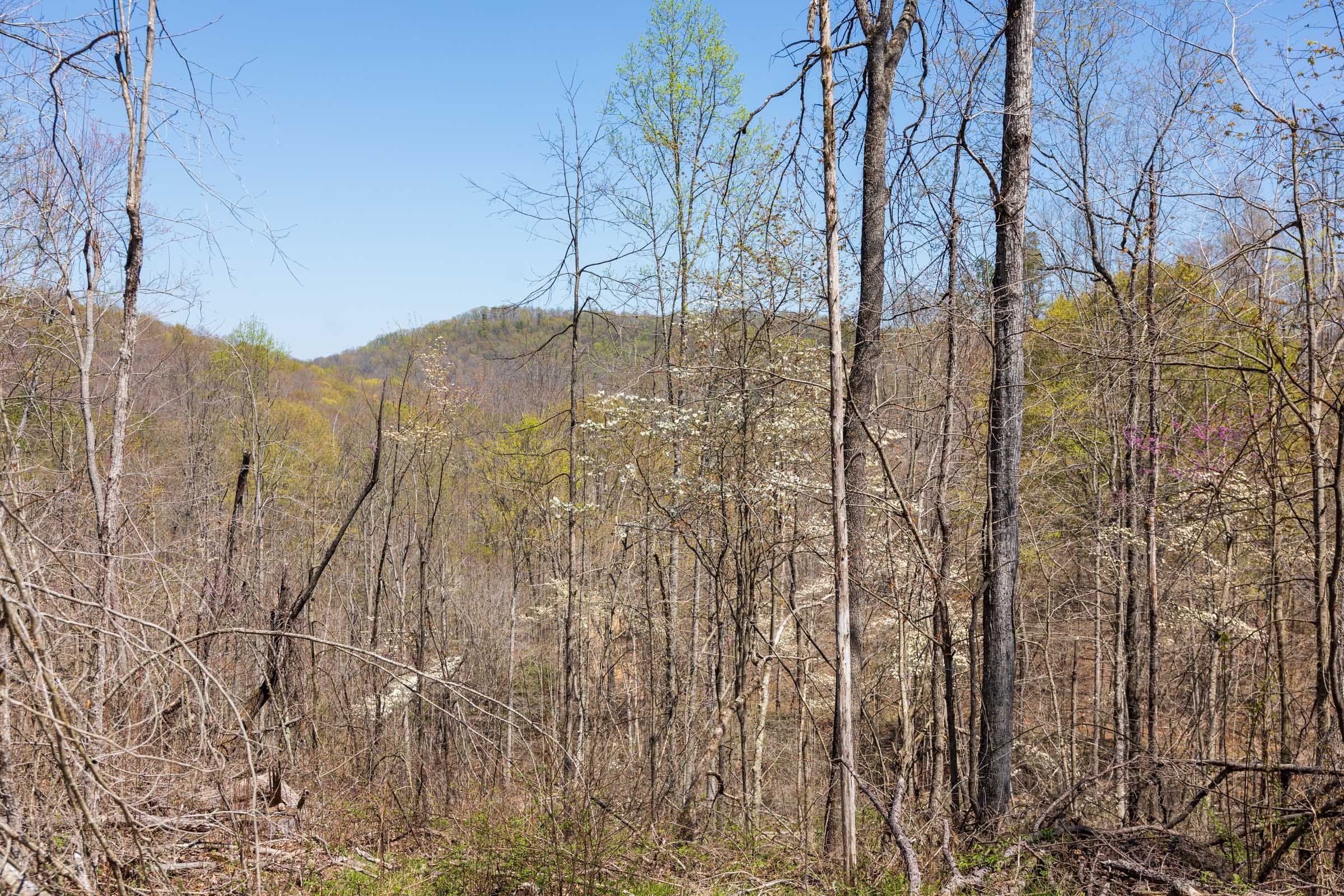 Creek Hollow Phase I Tract 33 photo 6