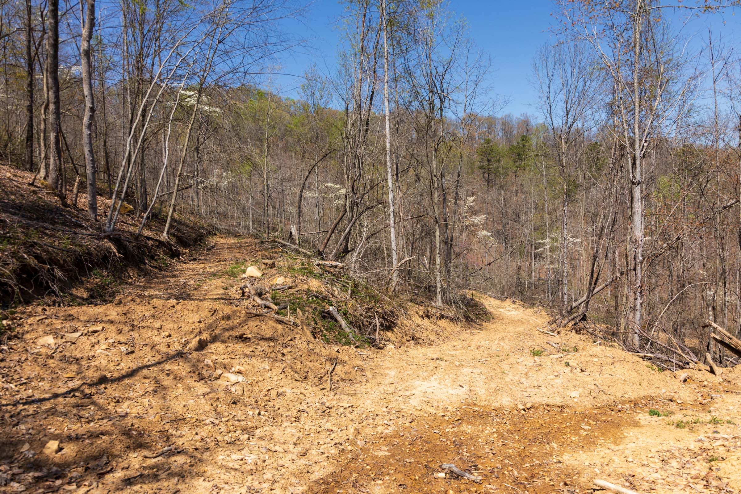 Creek Hollow Phase I Tract 33 photo 7