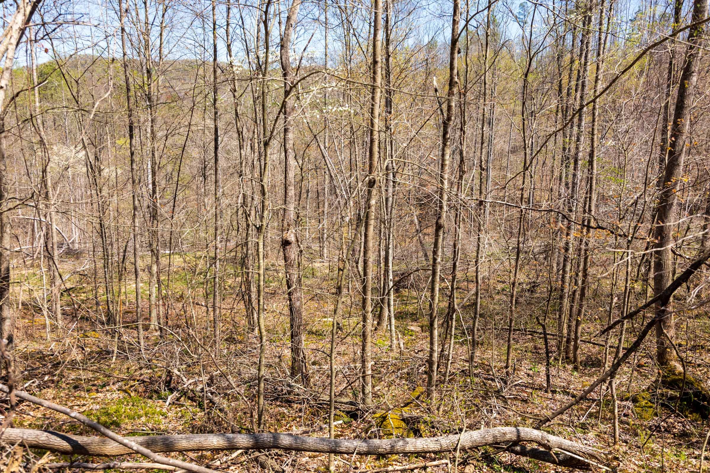 Creek Hollow Phase I Tract 33 photo 8