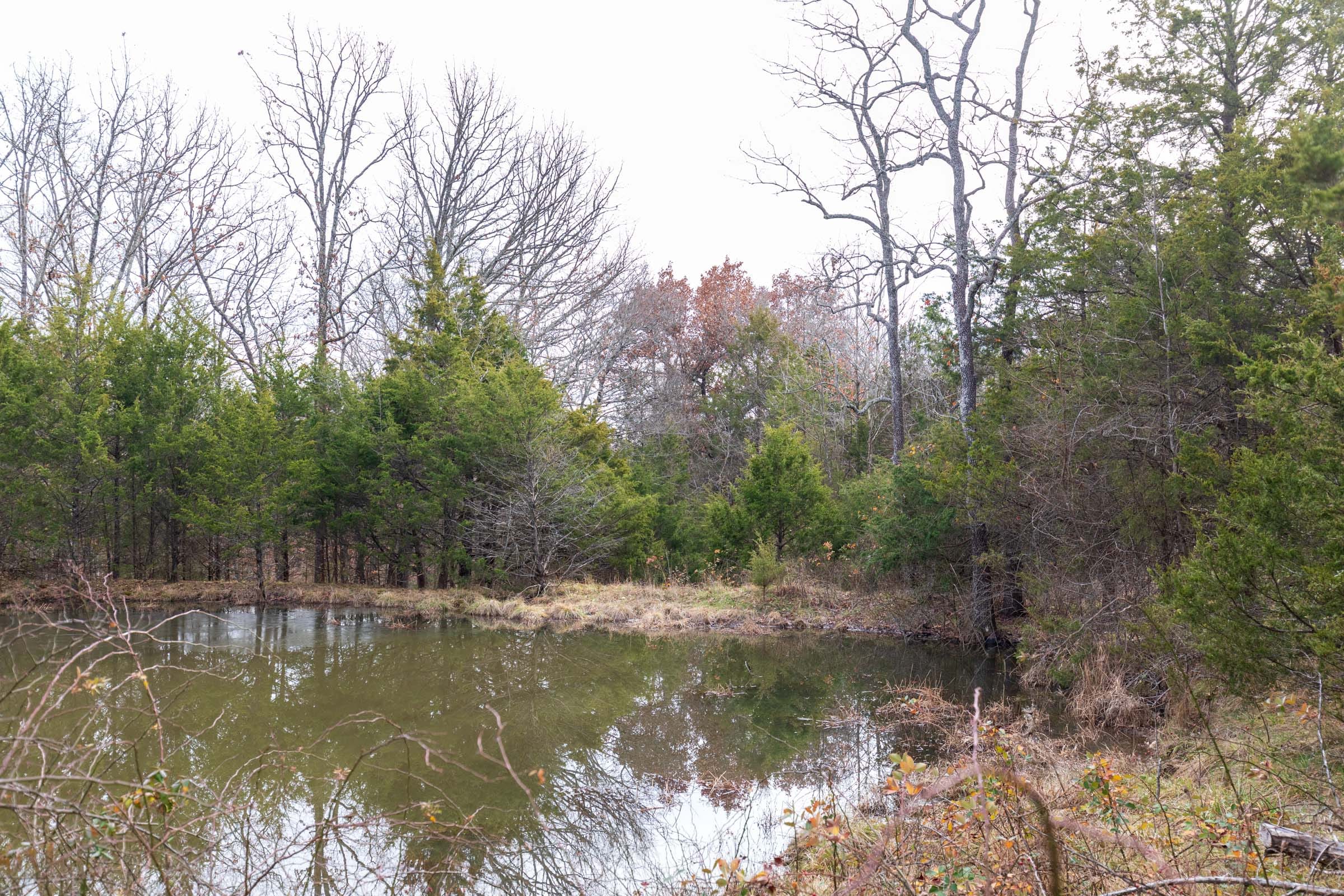 Crossroads Tract 2 photo 5