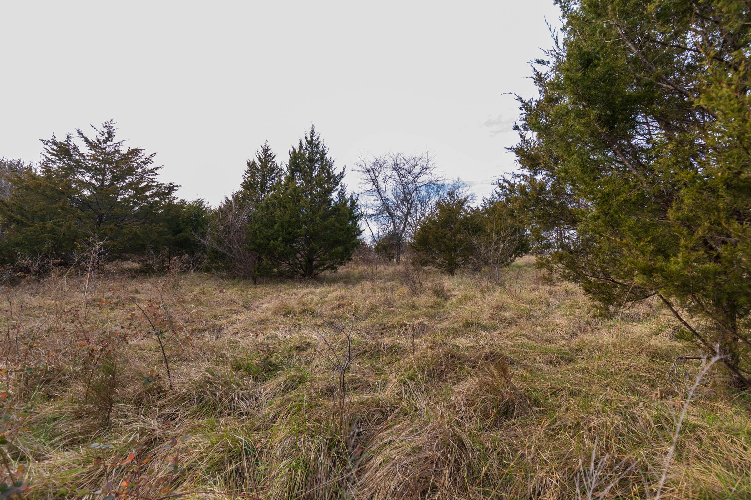 Crossroads Tract 2 photo 8