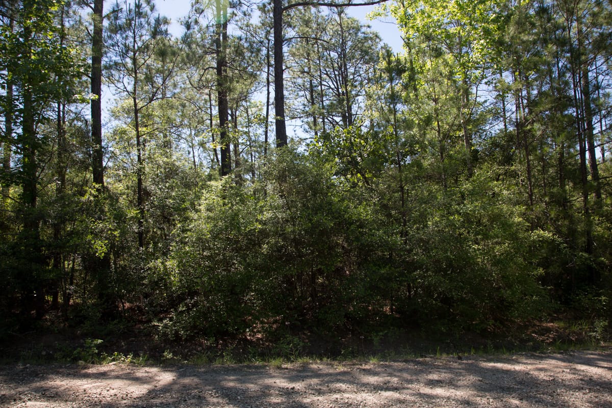 Rayburn Country Tract 299 photo 4