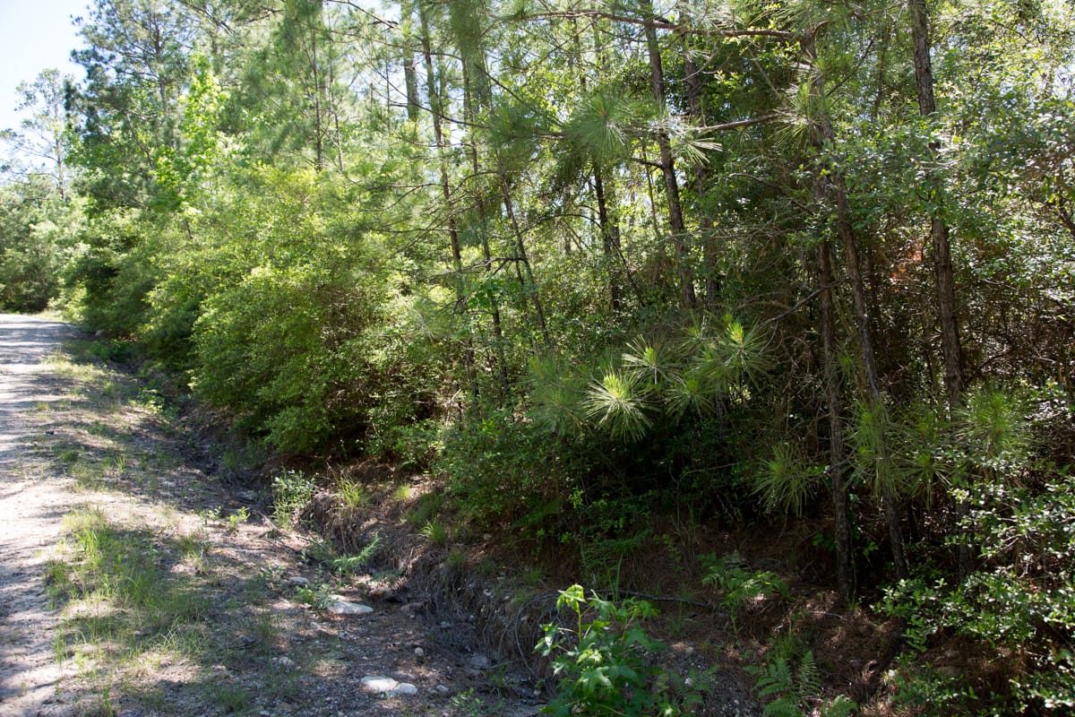 Rayburn Country Tract 299 photo 5