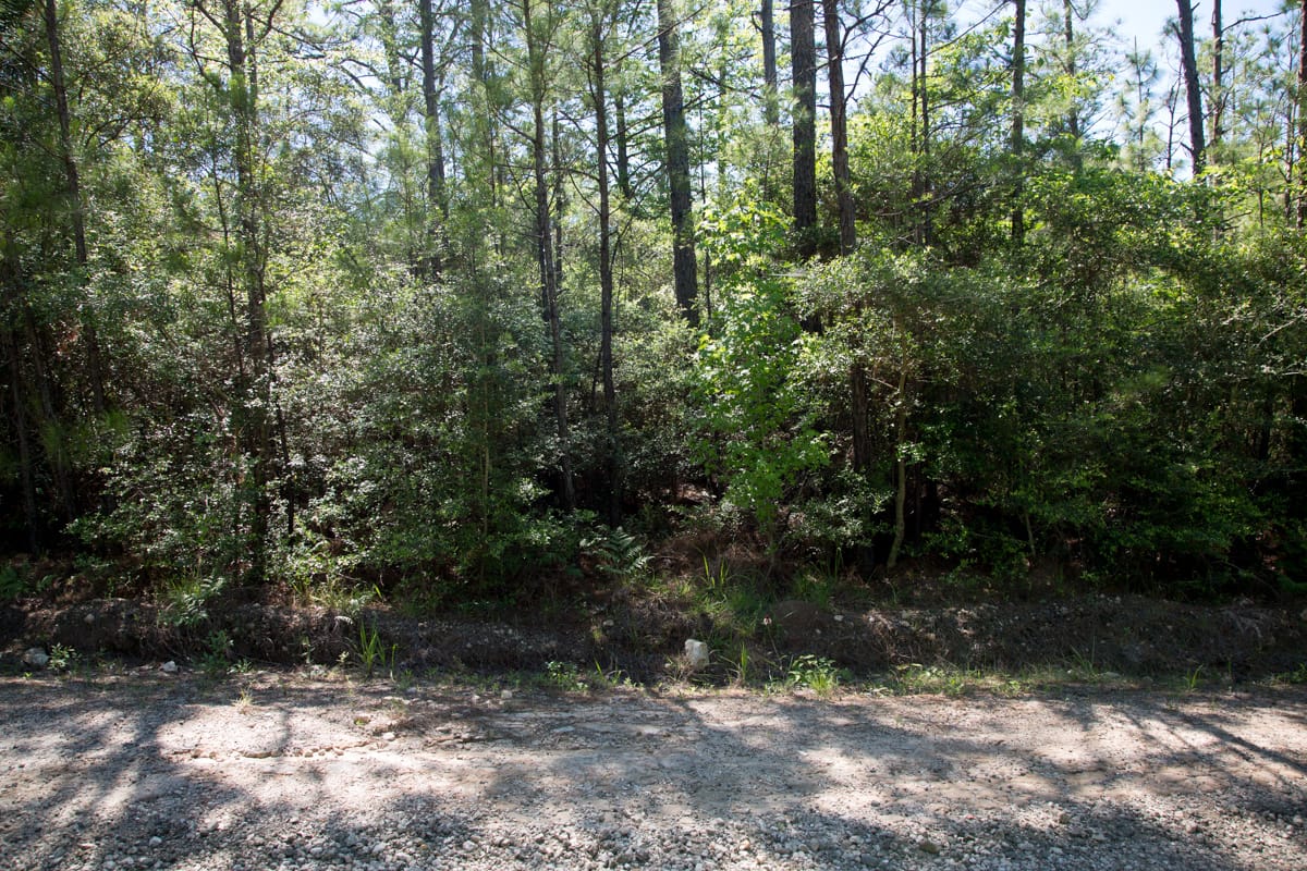 Rayburn Country Tract 299 photo 2