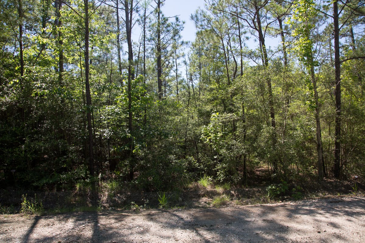 Rayburn Country Tract 299 photo 9