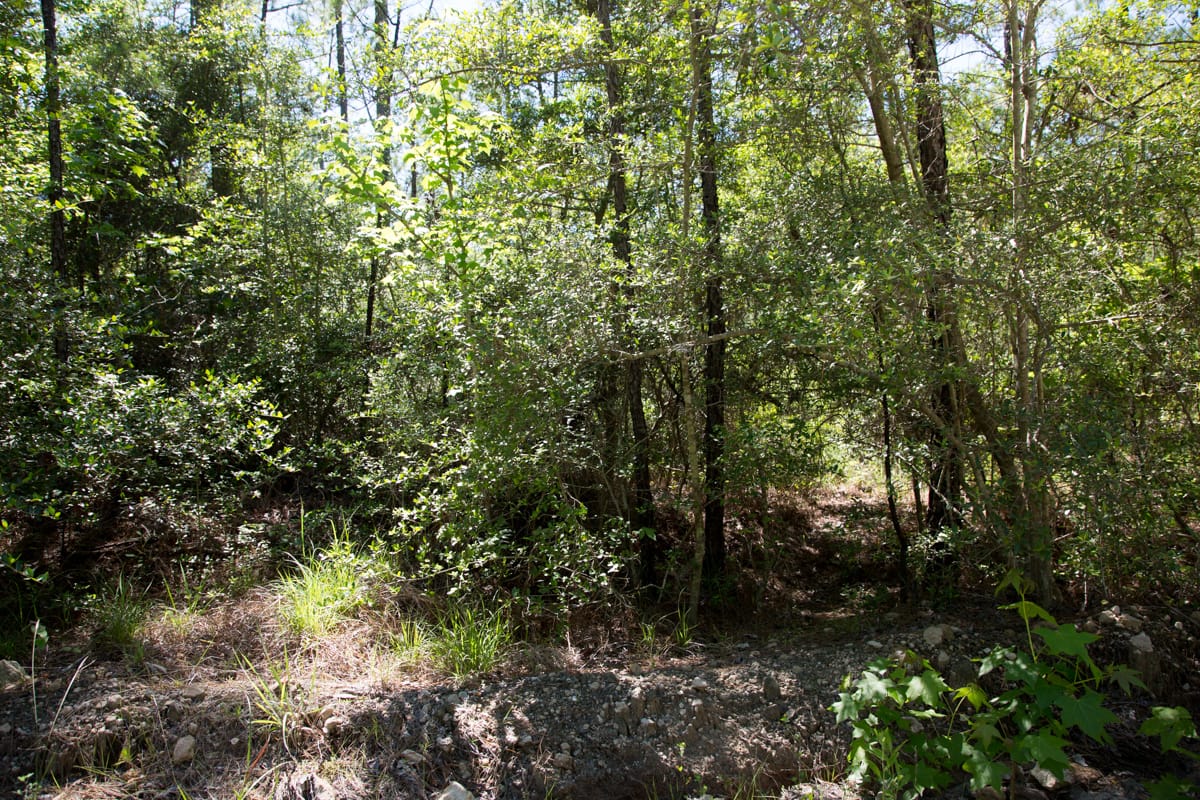 Rayburn Country Tract 299 photo 11