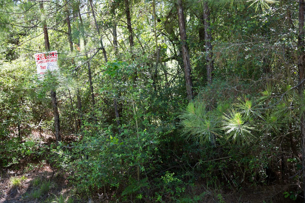 Rayburn Country Tract 299 photo 12