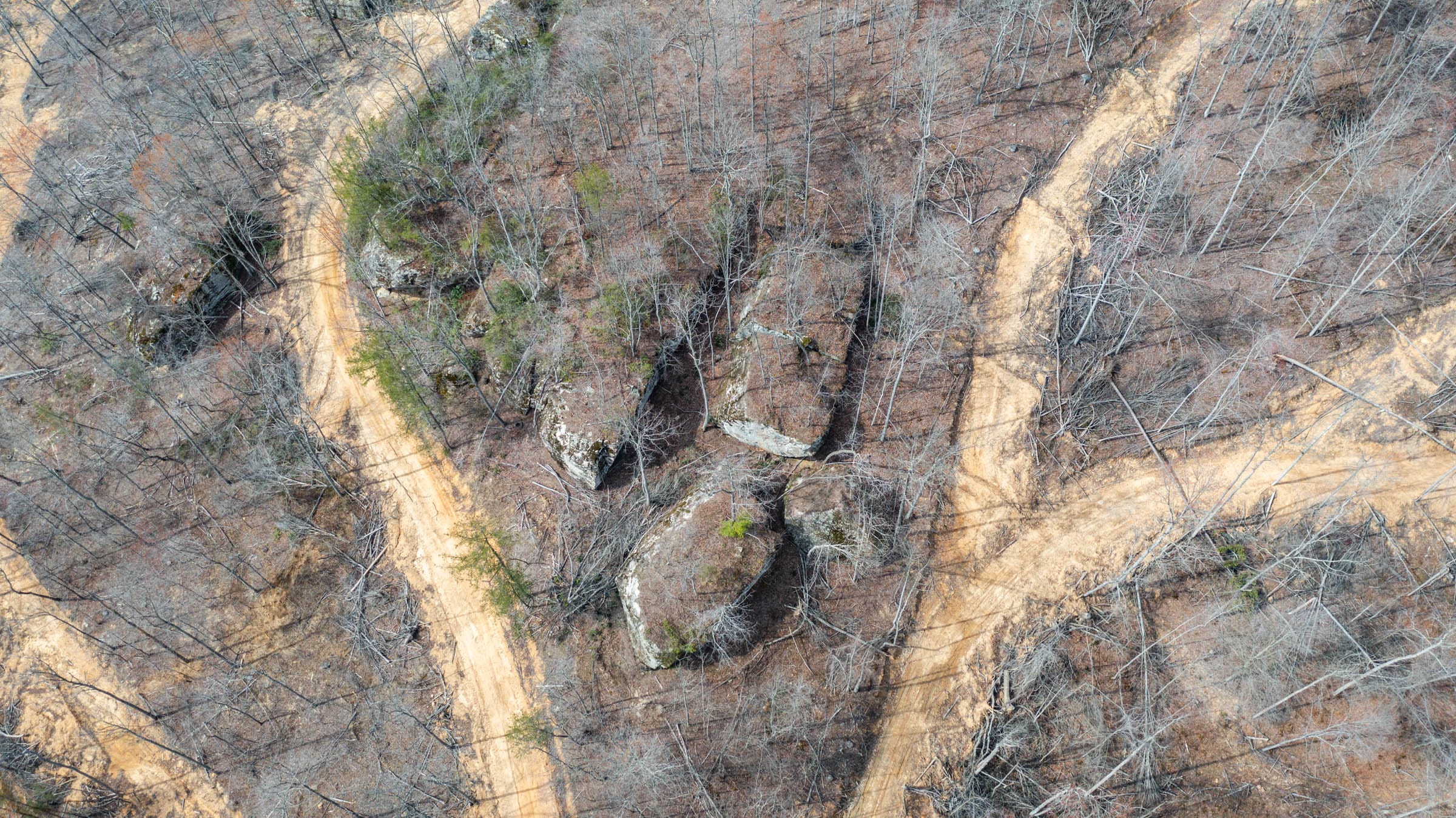 Creek Hollow Phase I Tract 29 photo 13