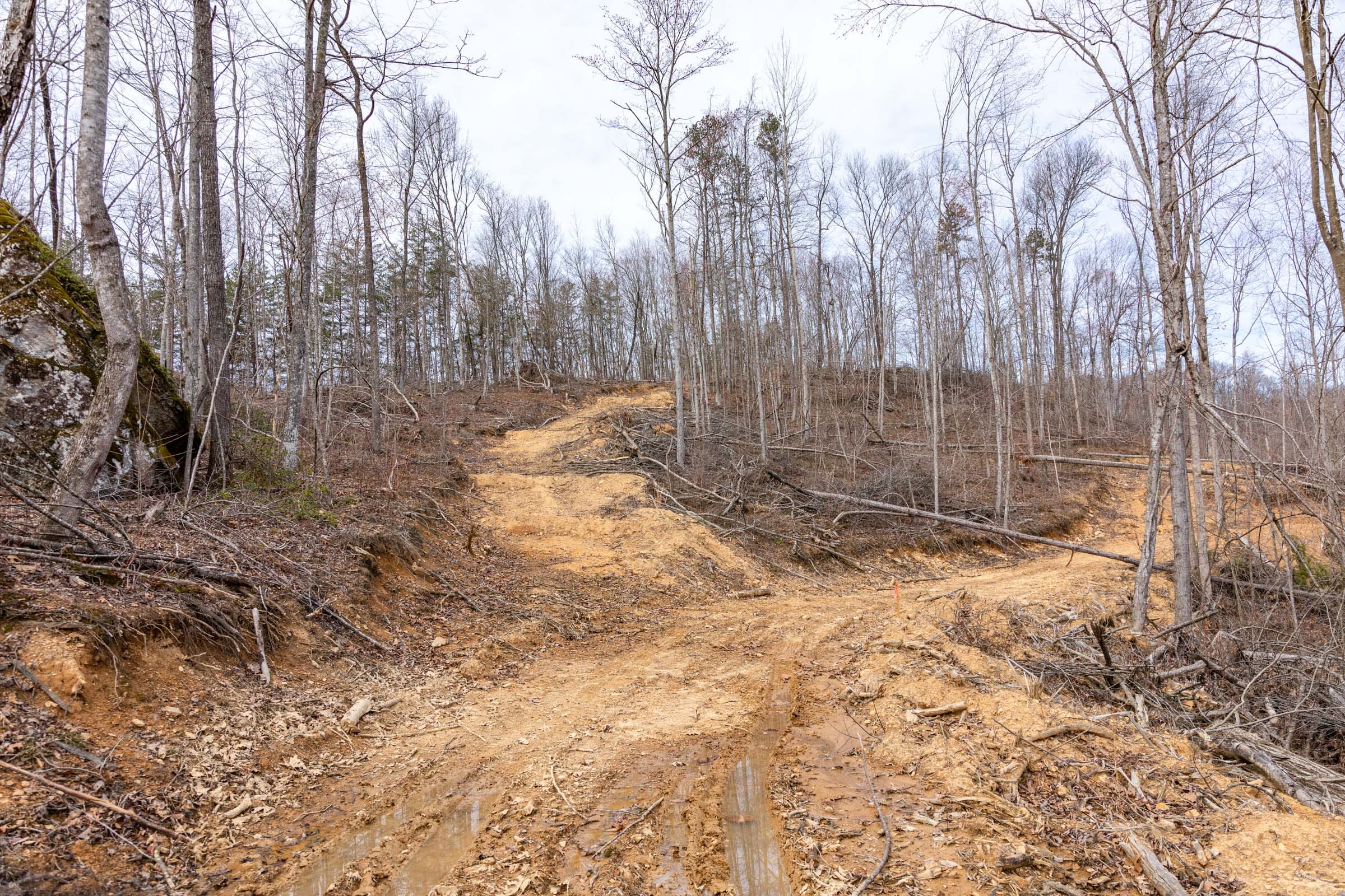 Creek Hollow Phase I Tract 29 photo 5