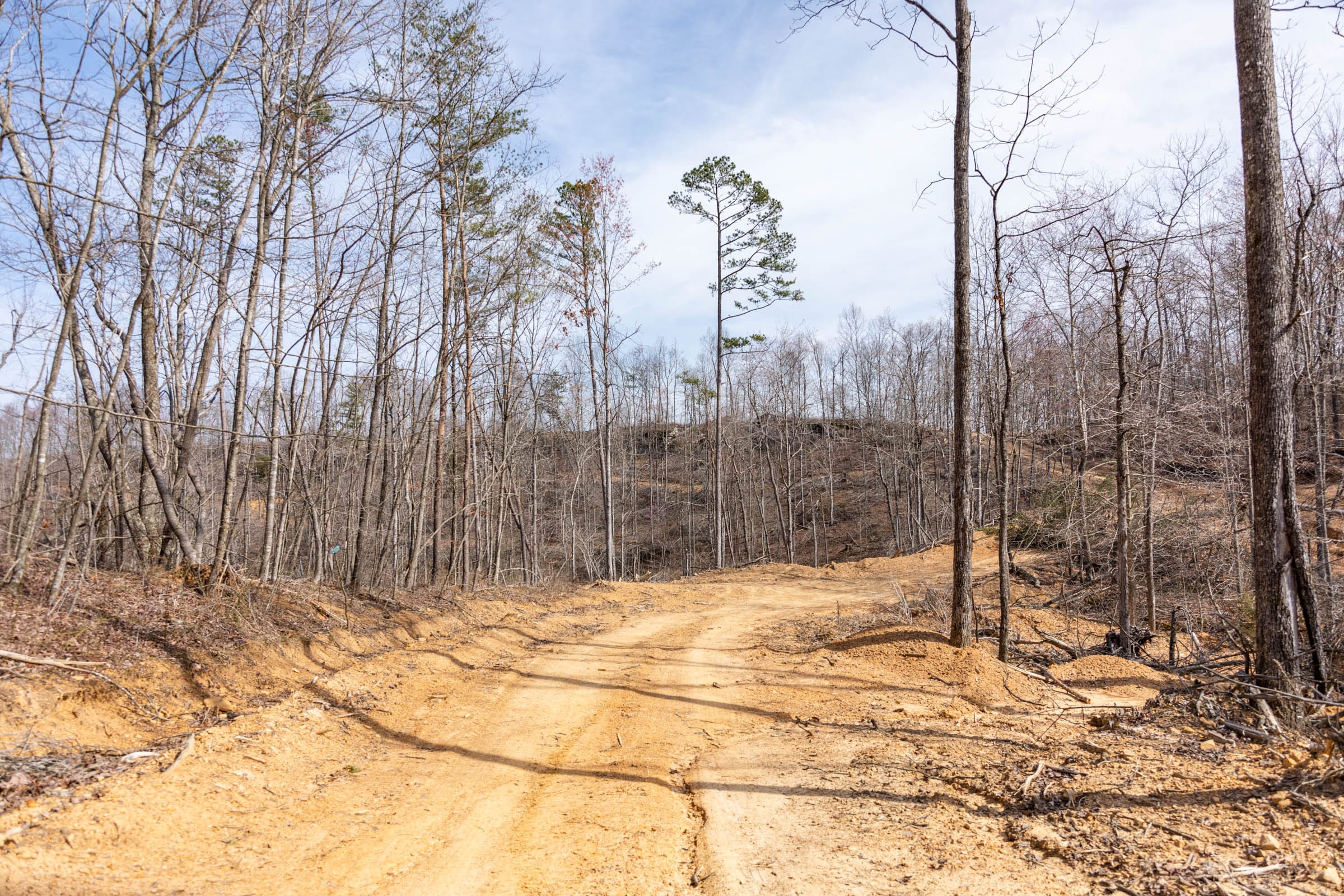 Creek Hollow Phase I Tract 29 photo 7