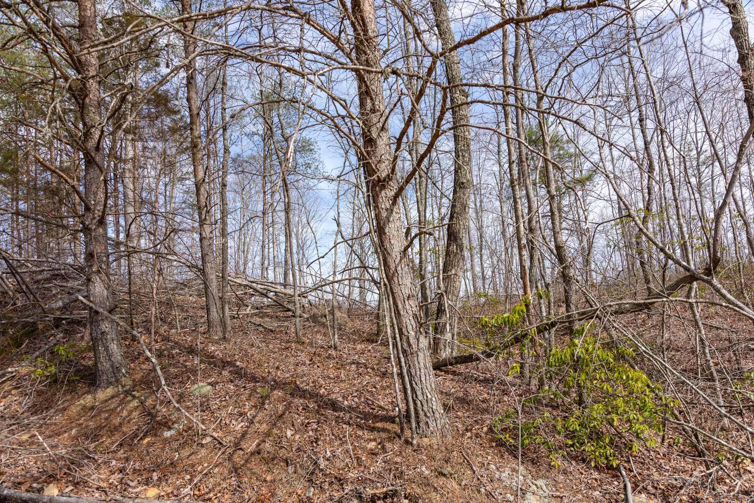 Creek Hollow Phase I Tract 29 photo 9