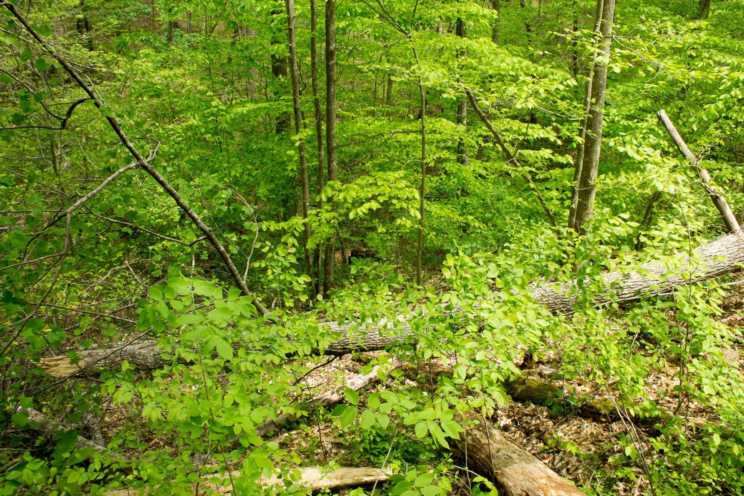 Trails End Tract 10 photo 2