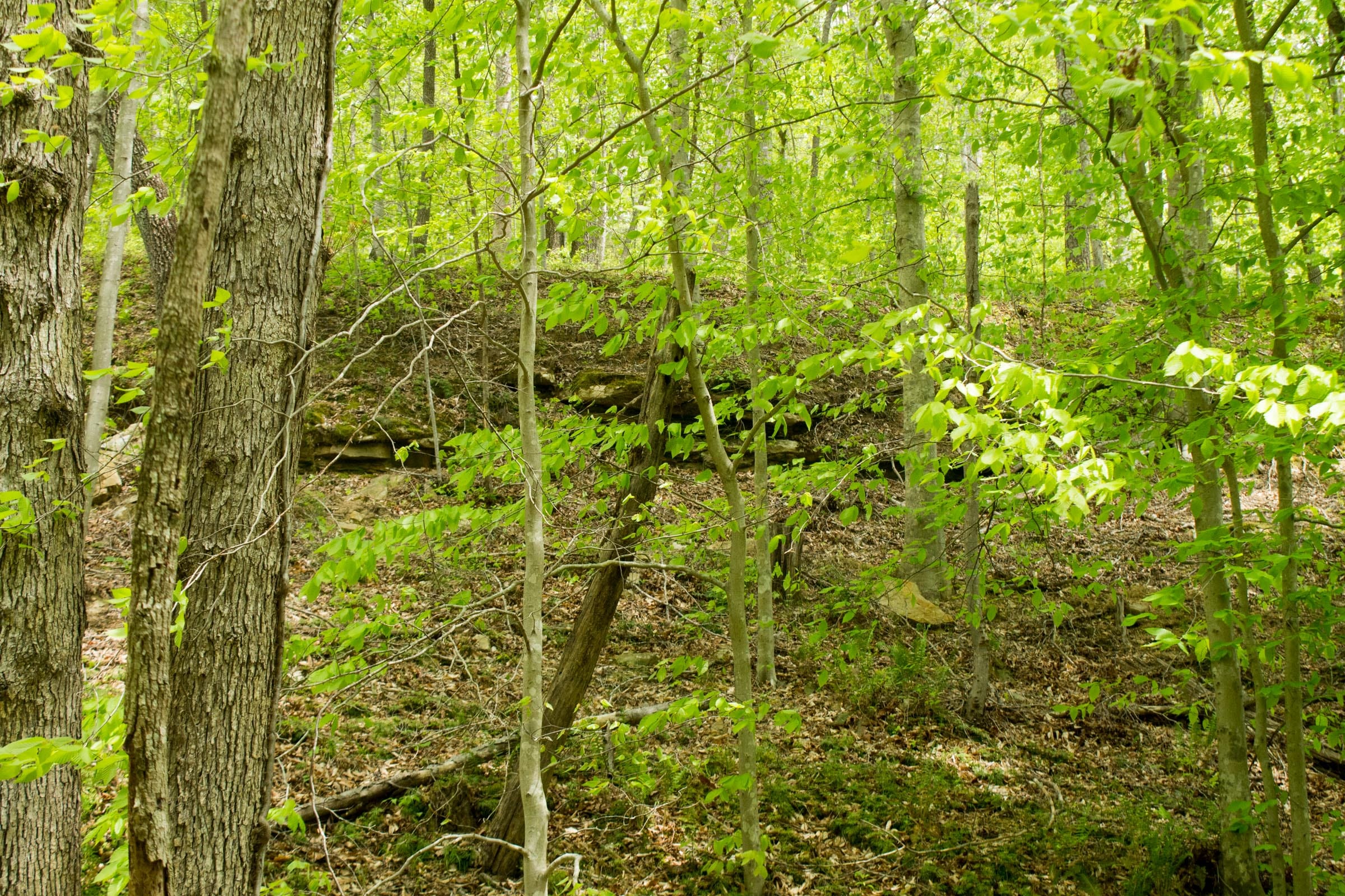 Trails End Tract 10 photo 8