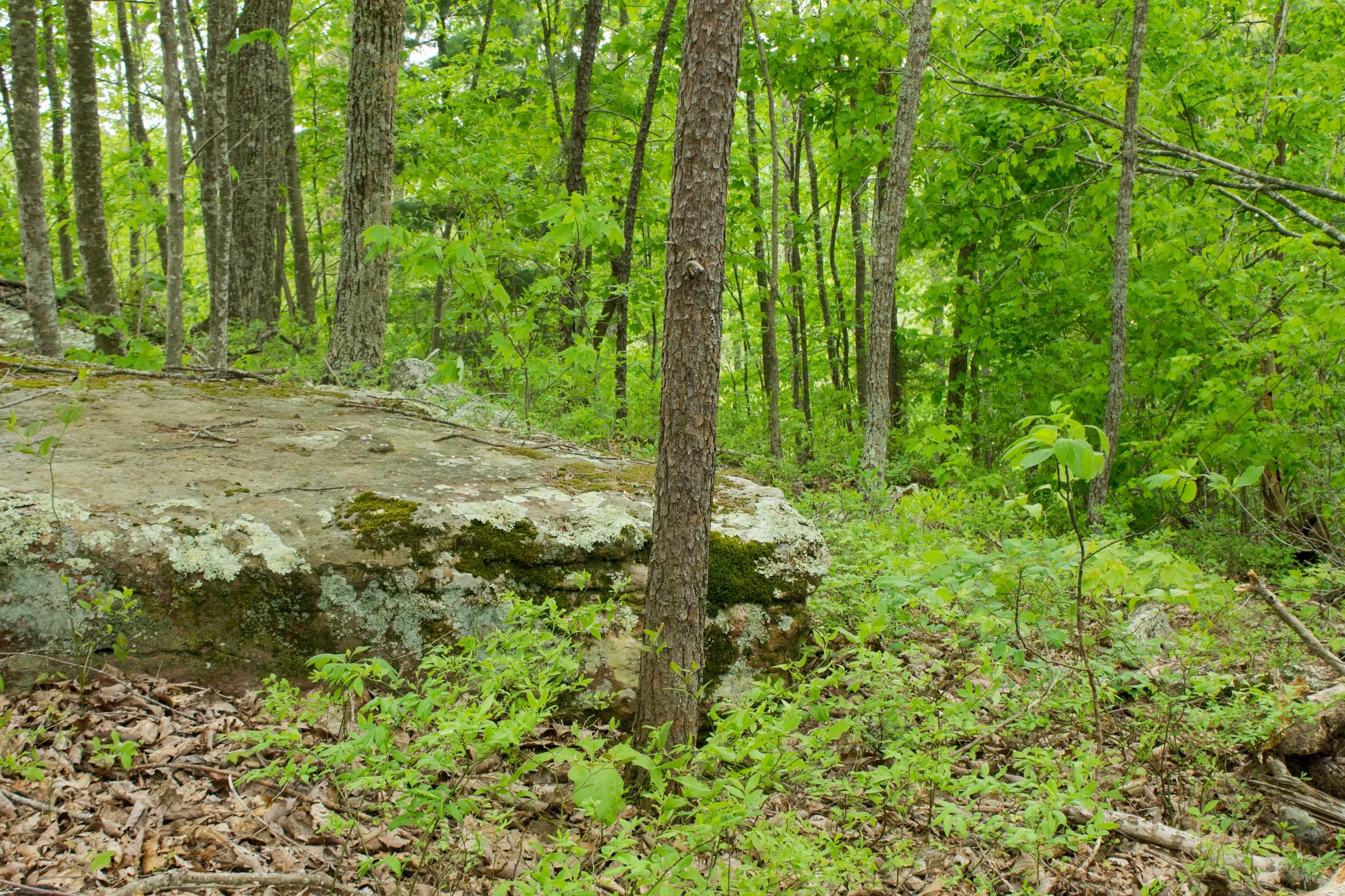 Trails End Tract 10 photo 11
